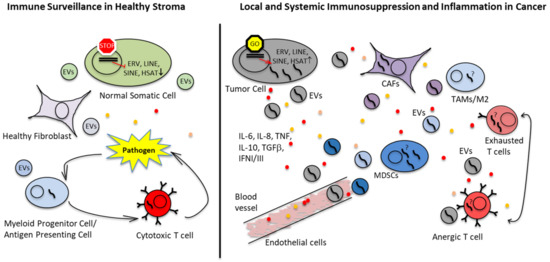 Cancers 15 00272 g002