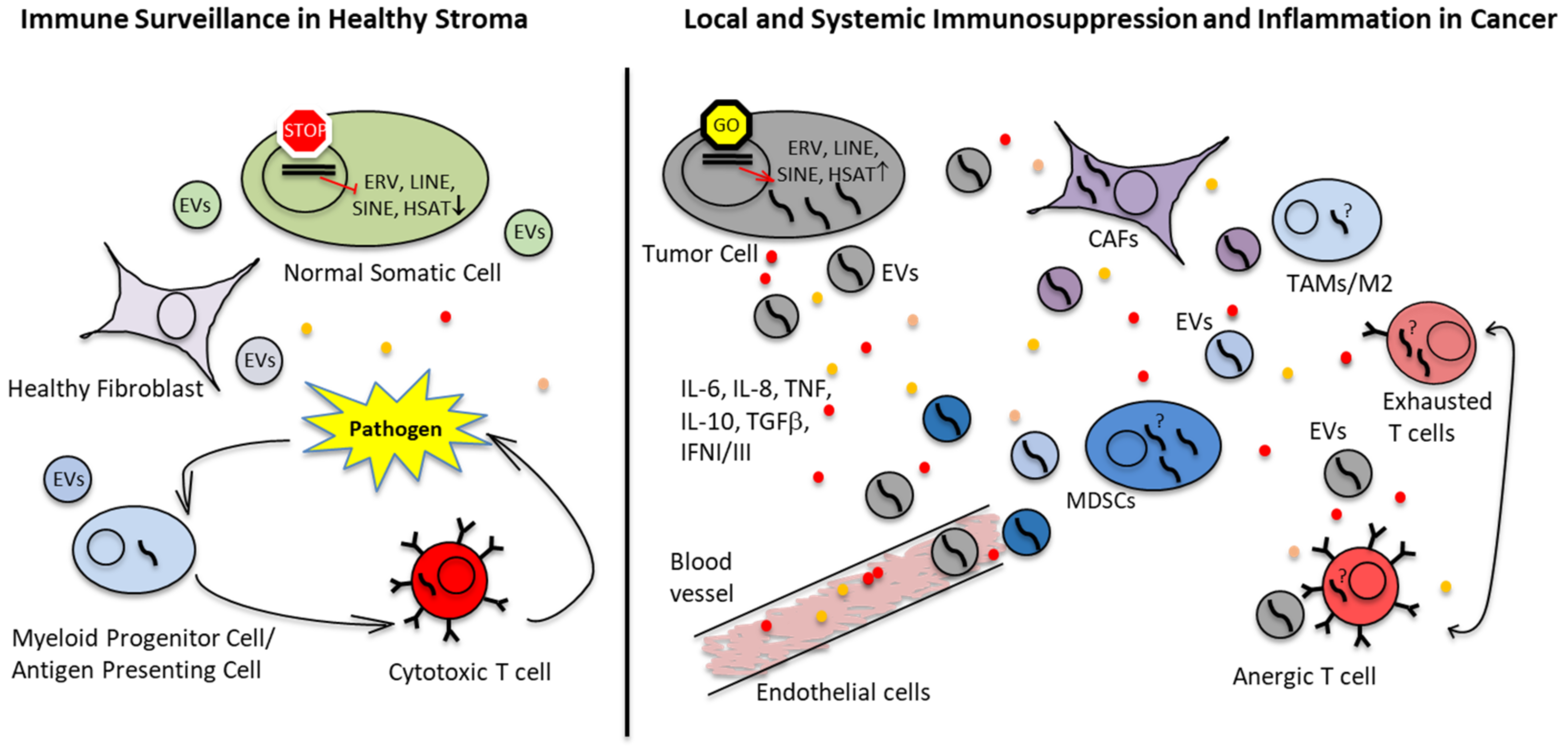 Cancers 15 00272 g002