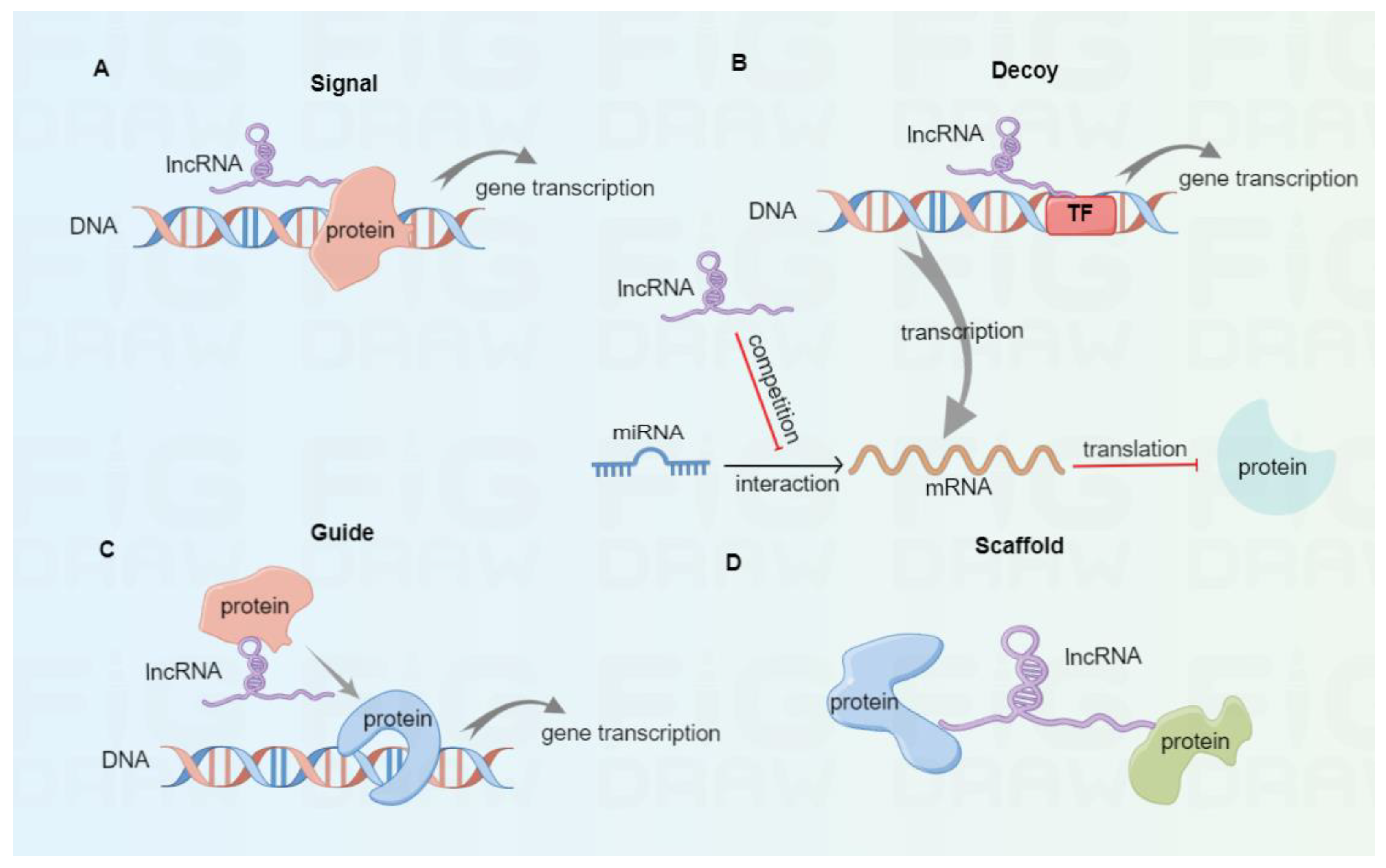 Cancers 15 00286 g001 Cancers 15 00286 g001