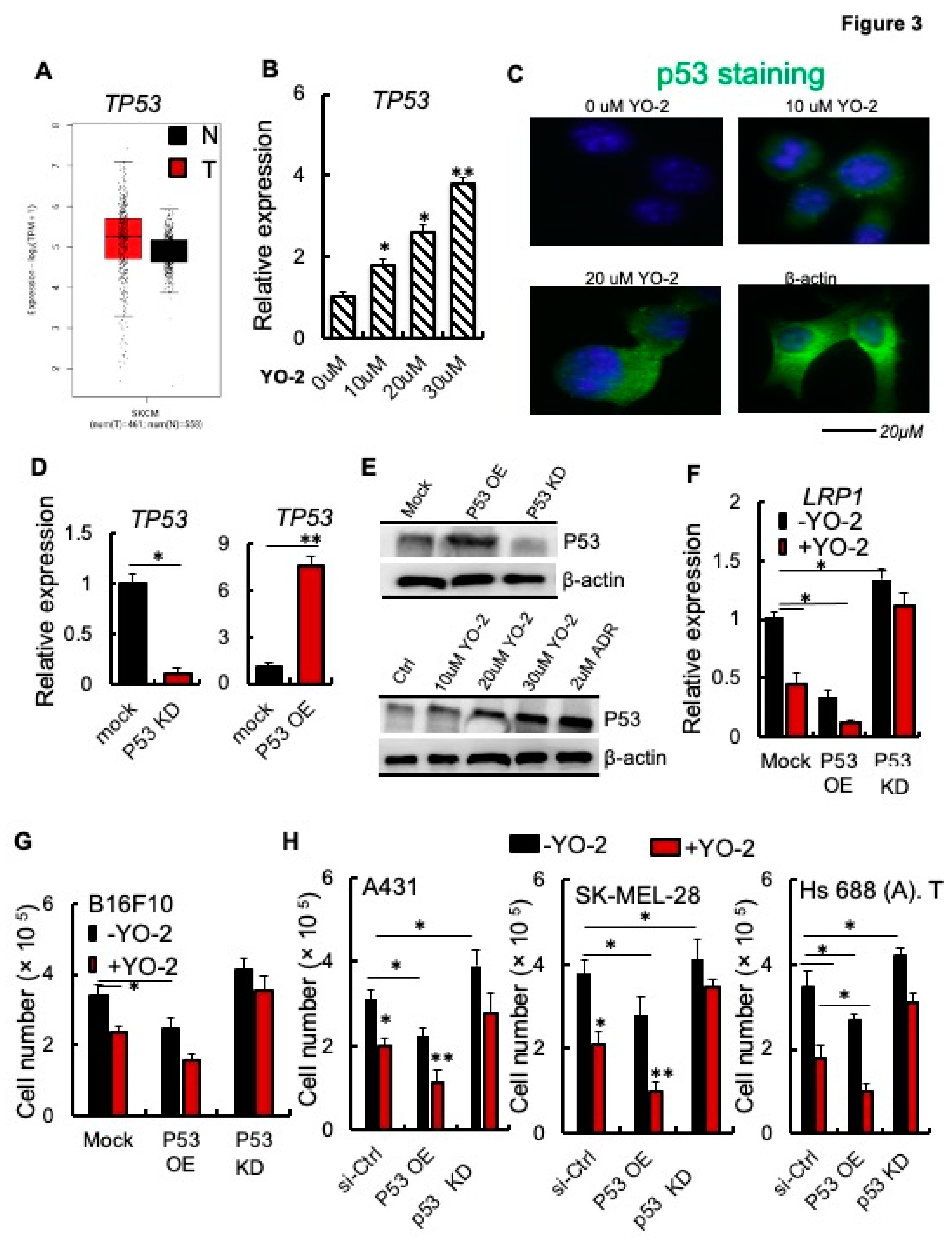 Cancers 15 00288 g003 Cancers 15 00288 g003