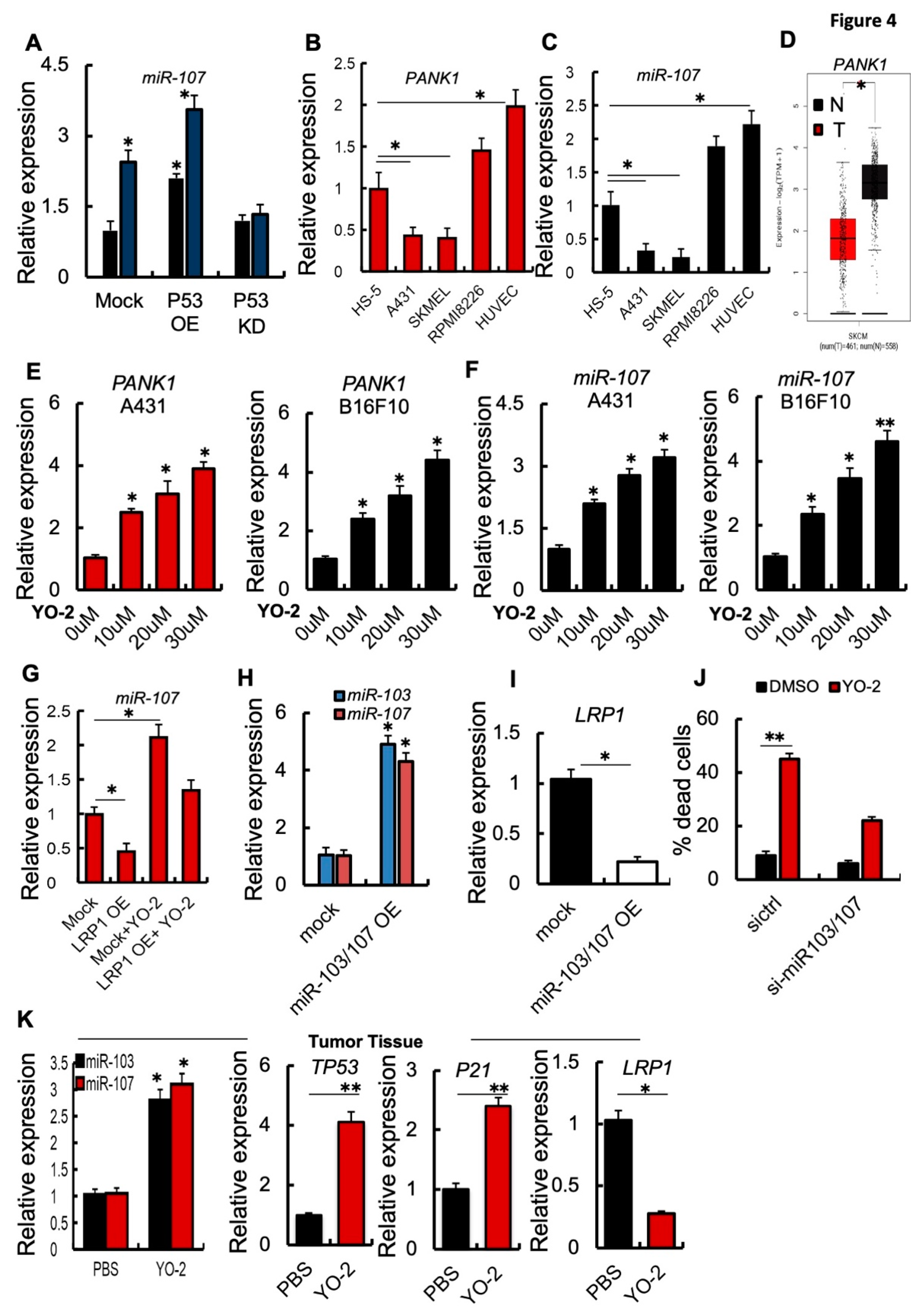 Cancers 15 00288 g004 Cancers 15 00288 g004