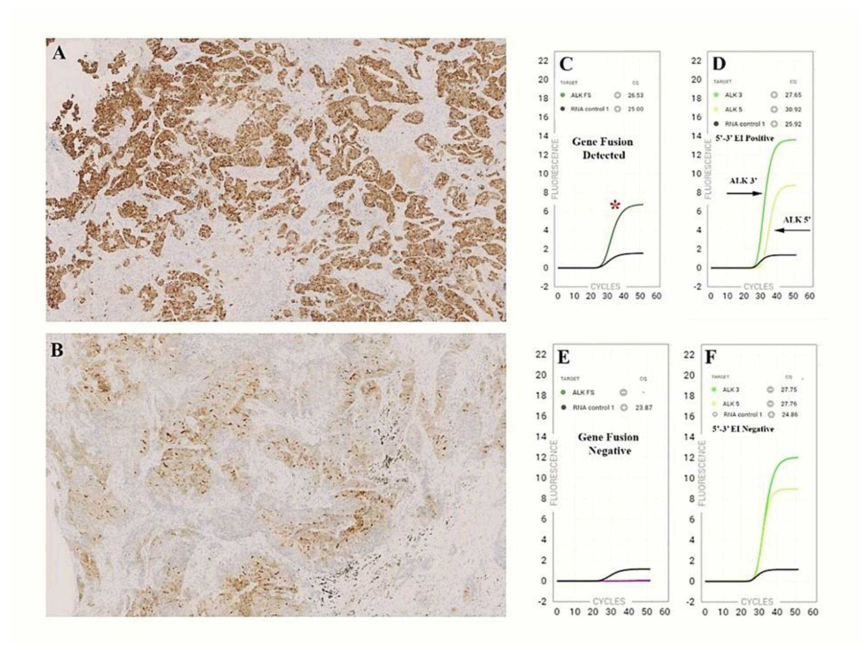 Cancers 15 00292 g001