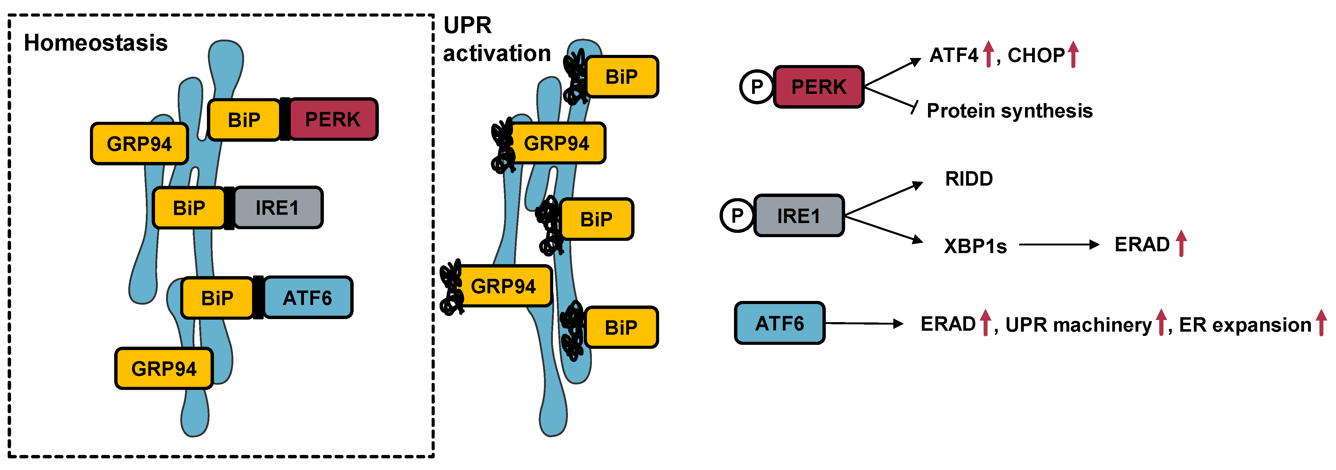 Cancers 15 00293 g006 Cancers 15 00293 g006