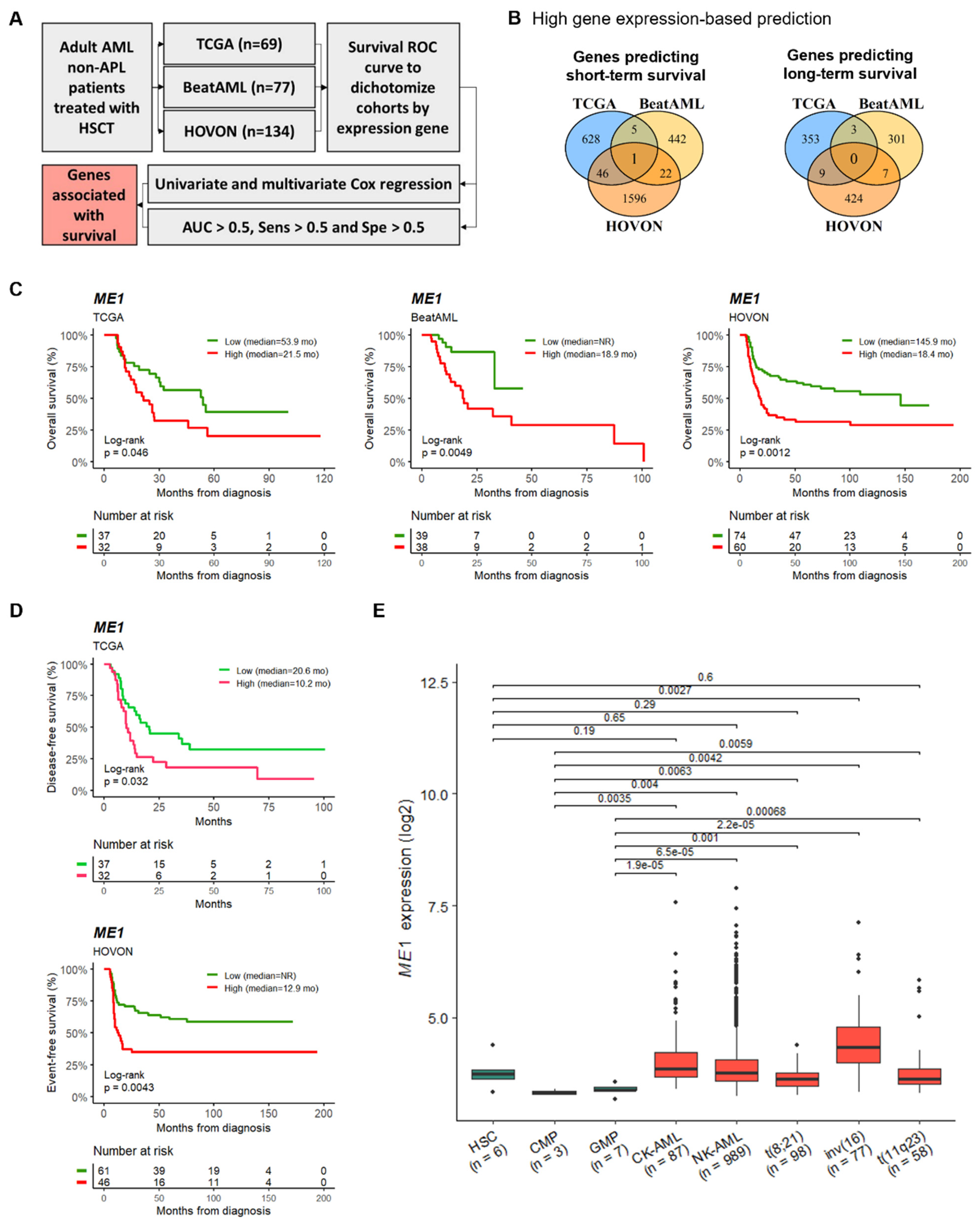 Cancers 15 00296 g001