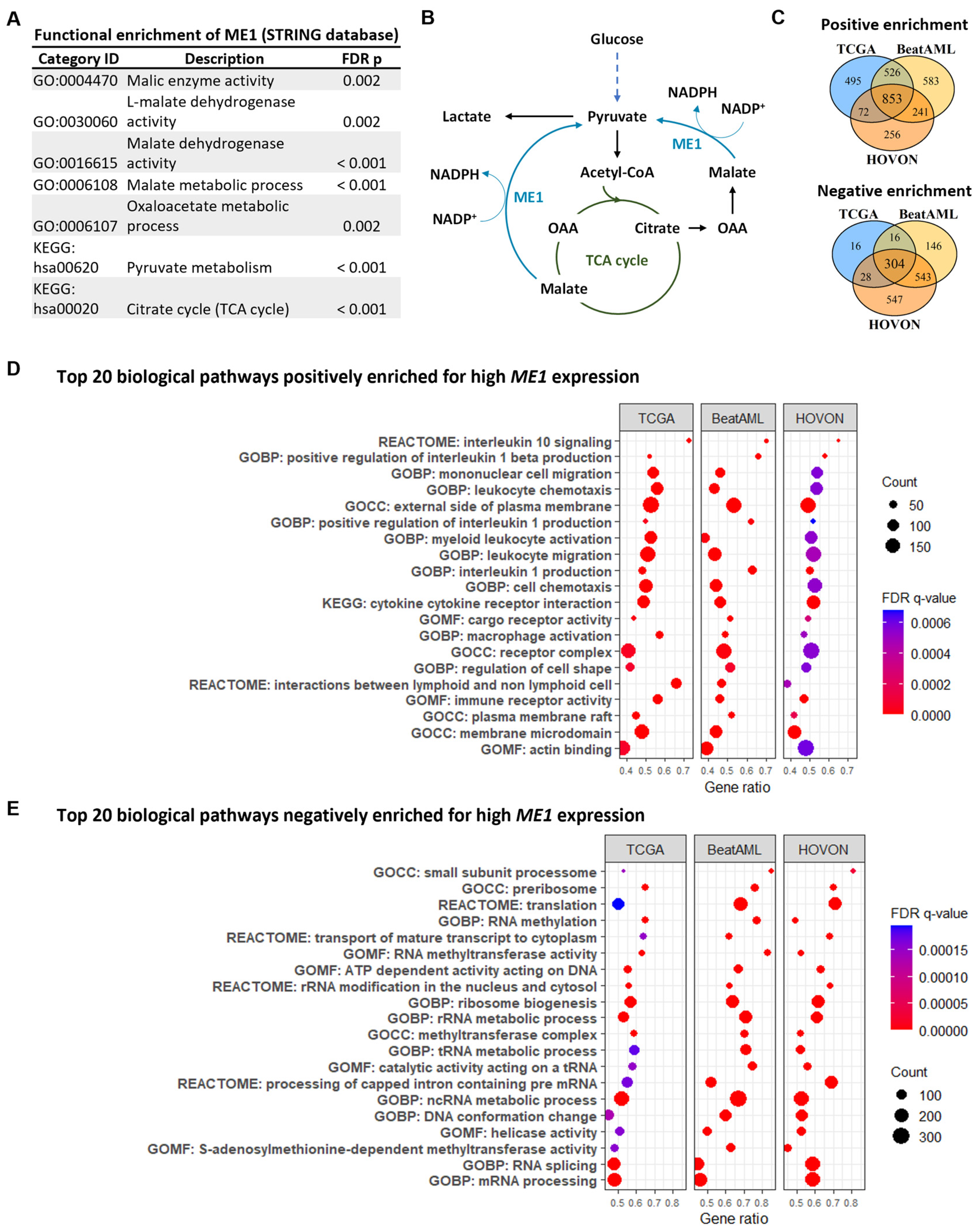 Cancers 15 00296 g004
