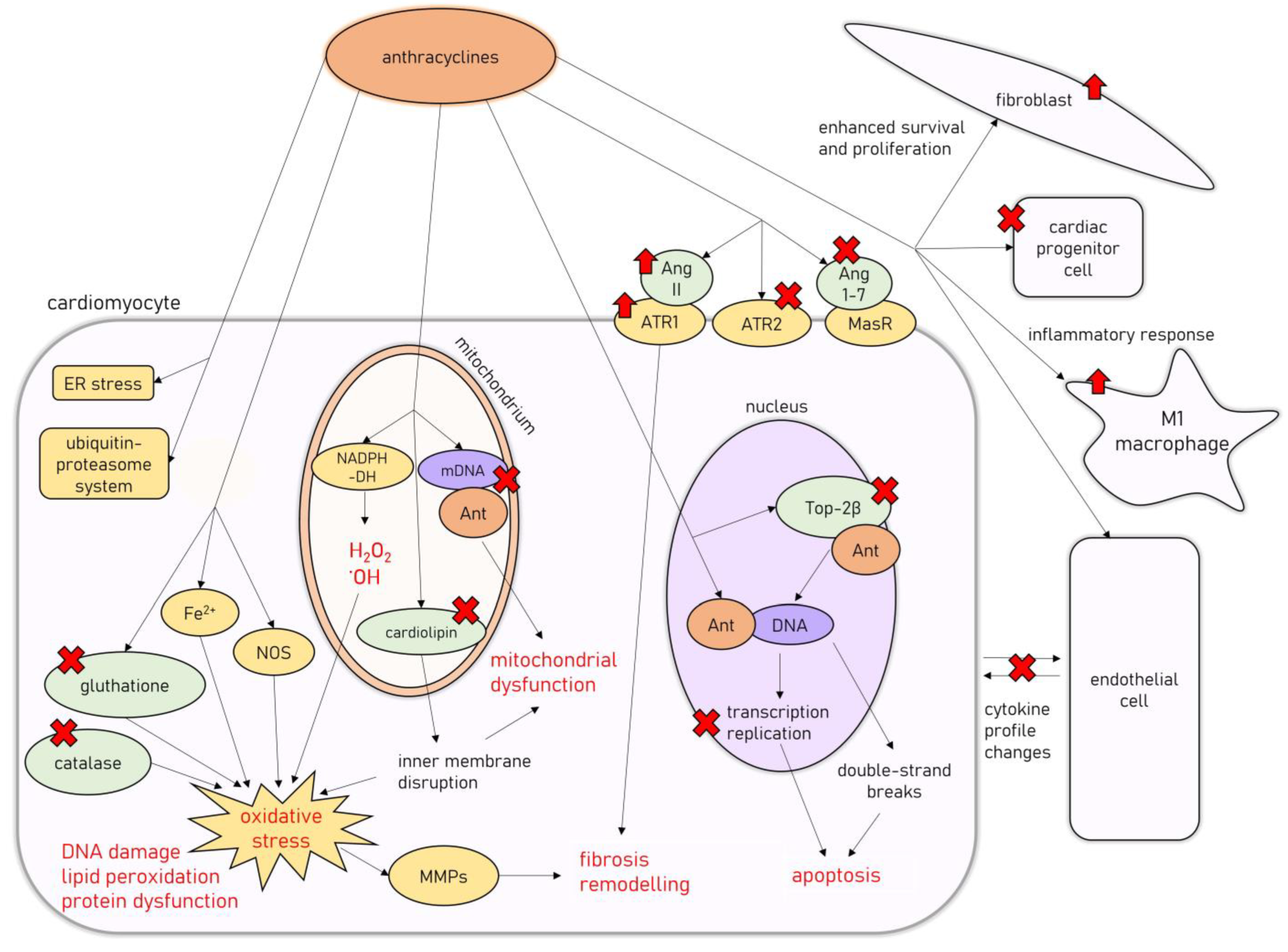 Cancers 15 00312 g001