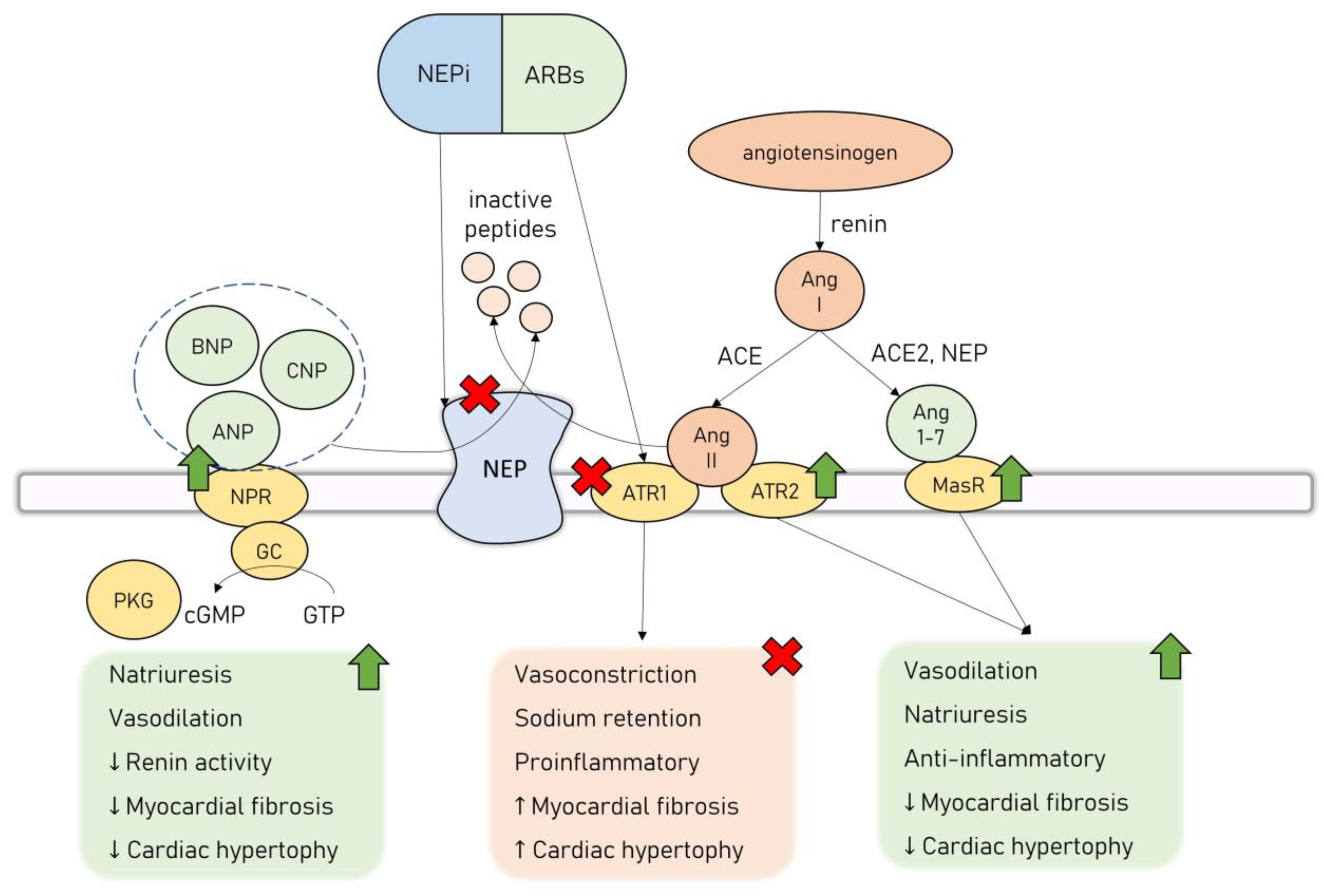 Cancers 15 00312 g002