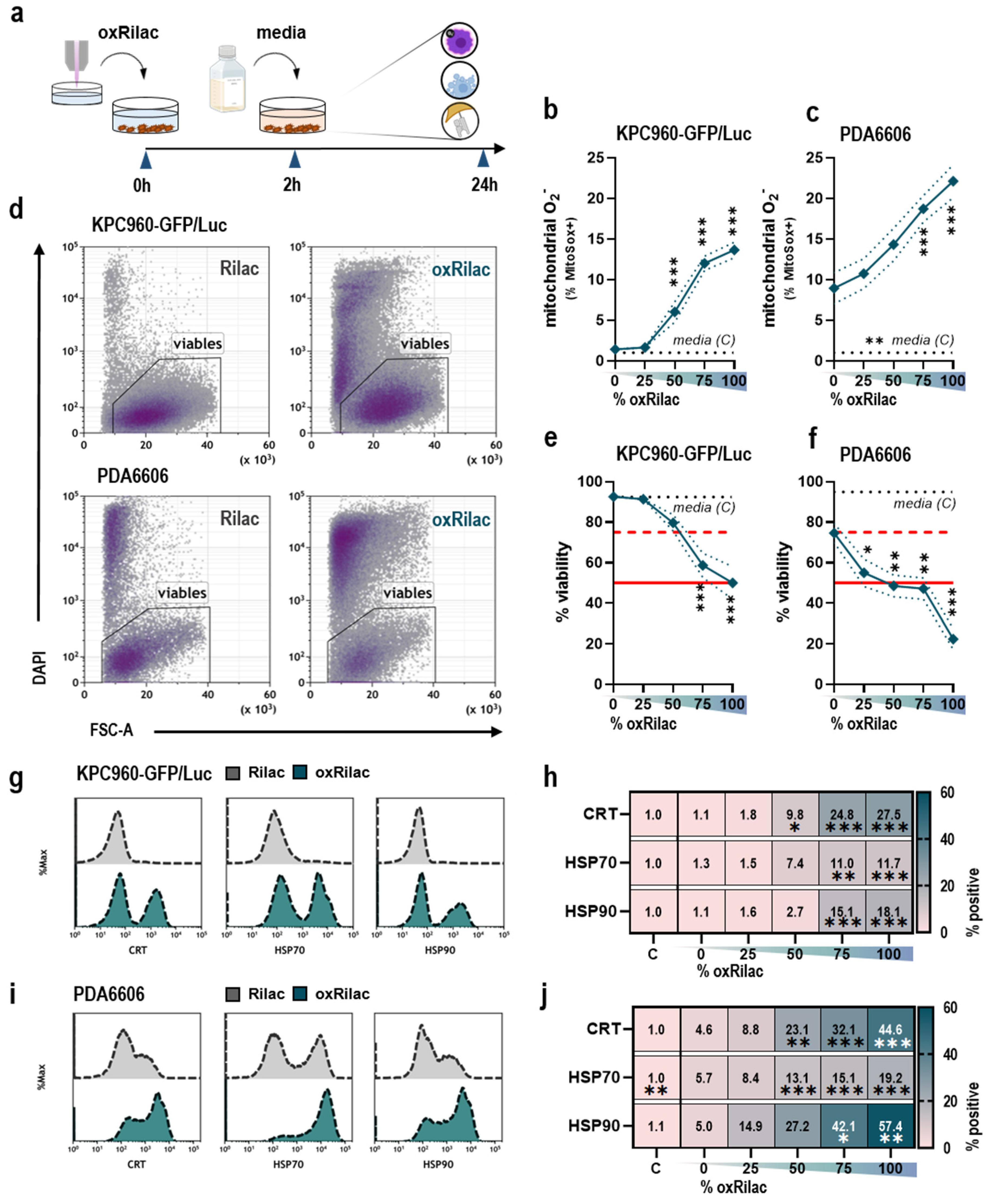 Cancers 15 00319 g001