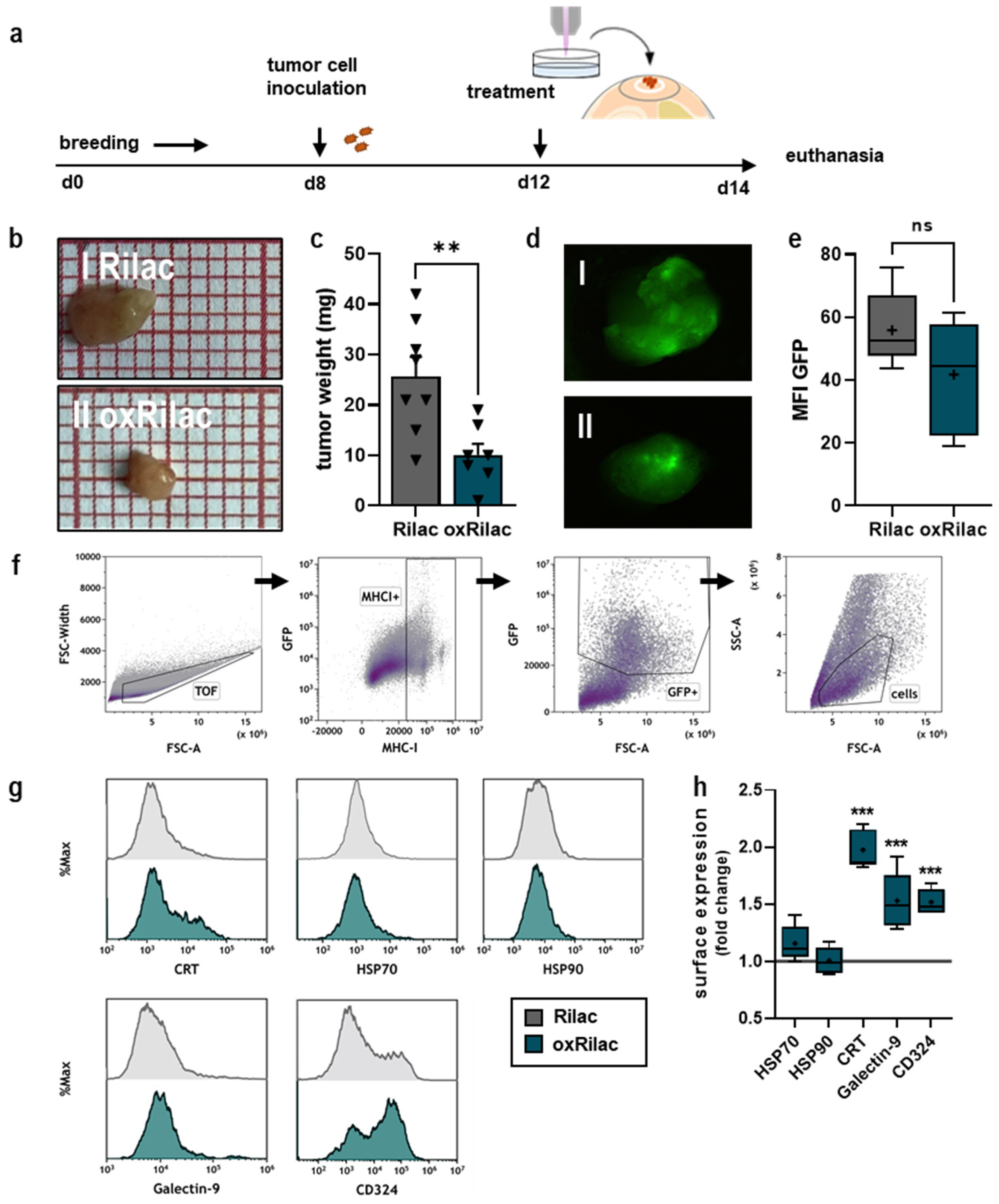 Cancers 15 00319 g003