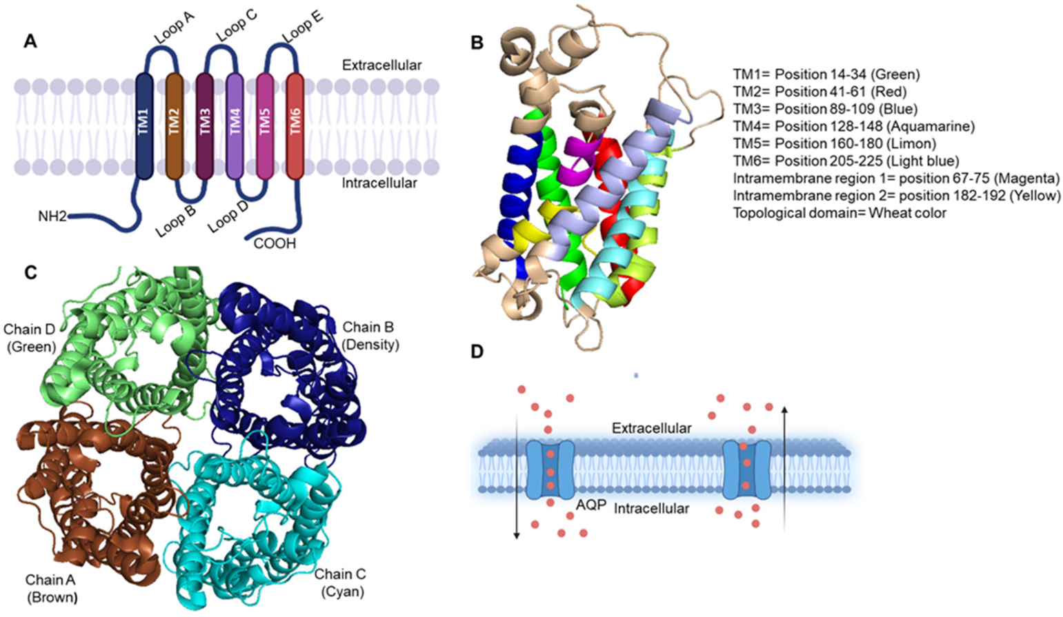 Cancers 15 00331 g001