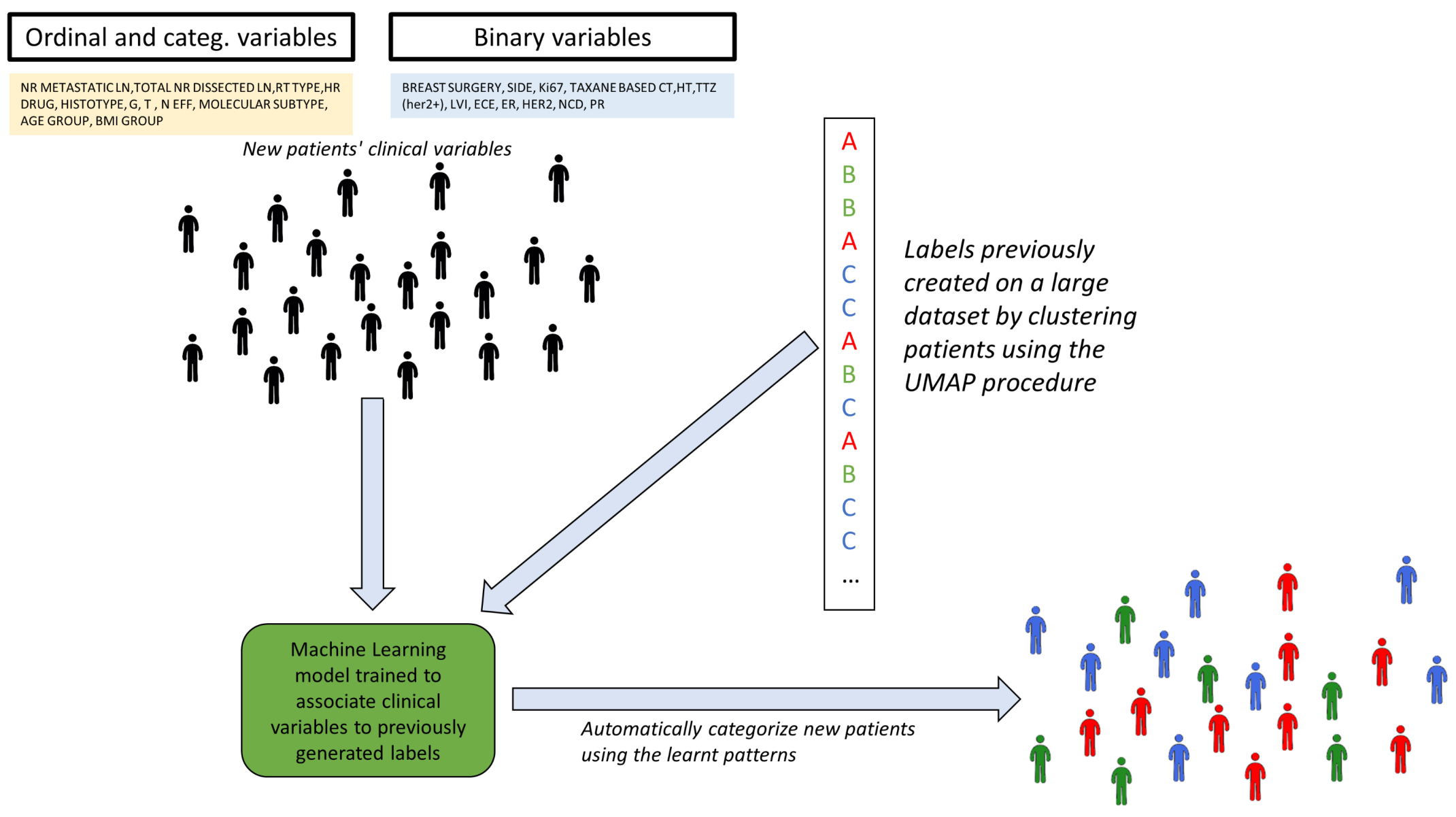 Cancers 15 00336 g0a1