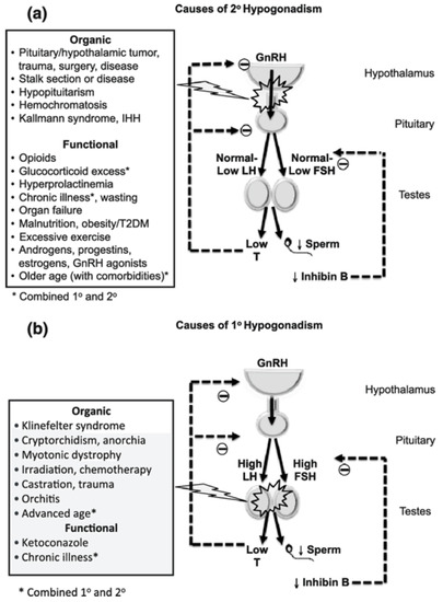 Cancers 15 00341 g001