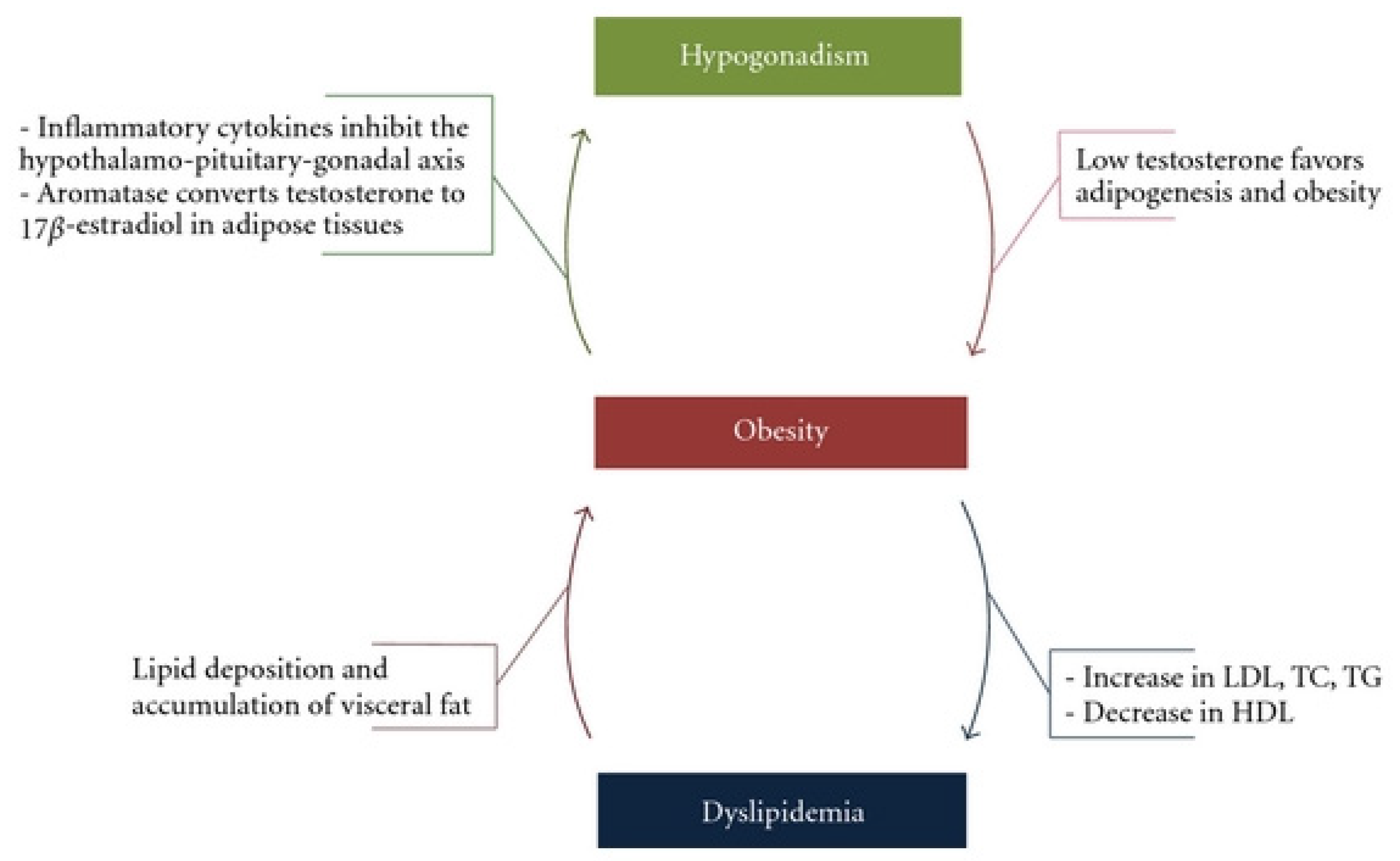 Cancers 15 00341 g002