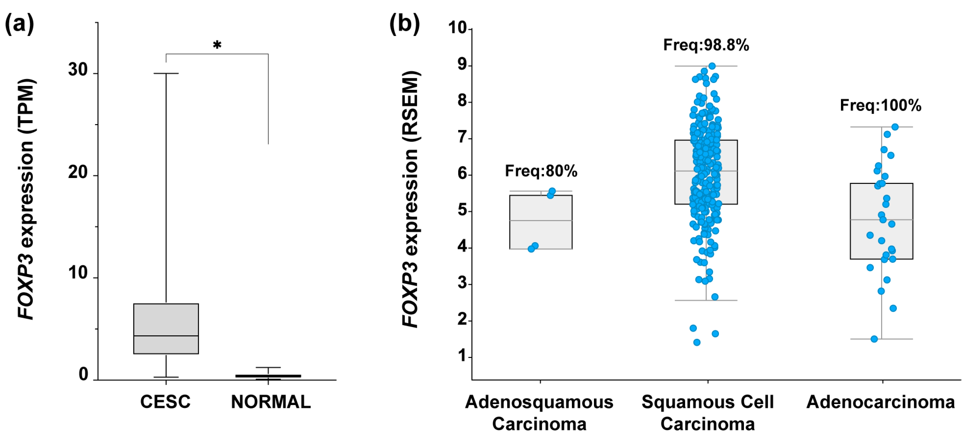 Cancers 15 00347 g001 Cancers 15 00347 g001