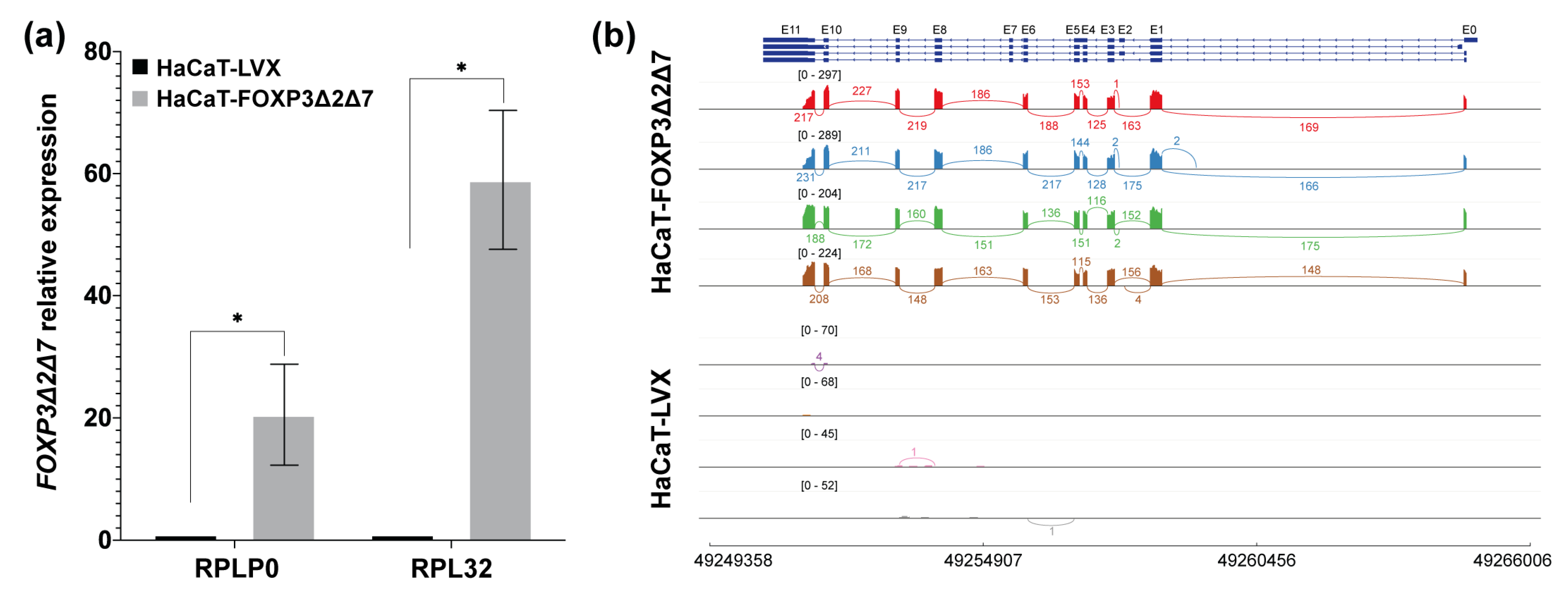Cancers 15 00347 g004 Cancers 15 00347 g004
