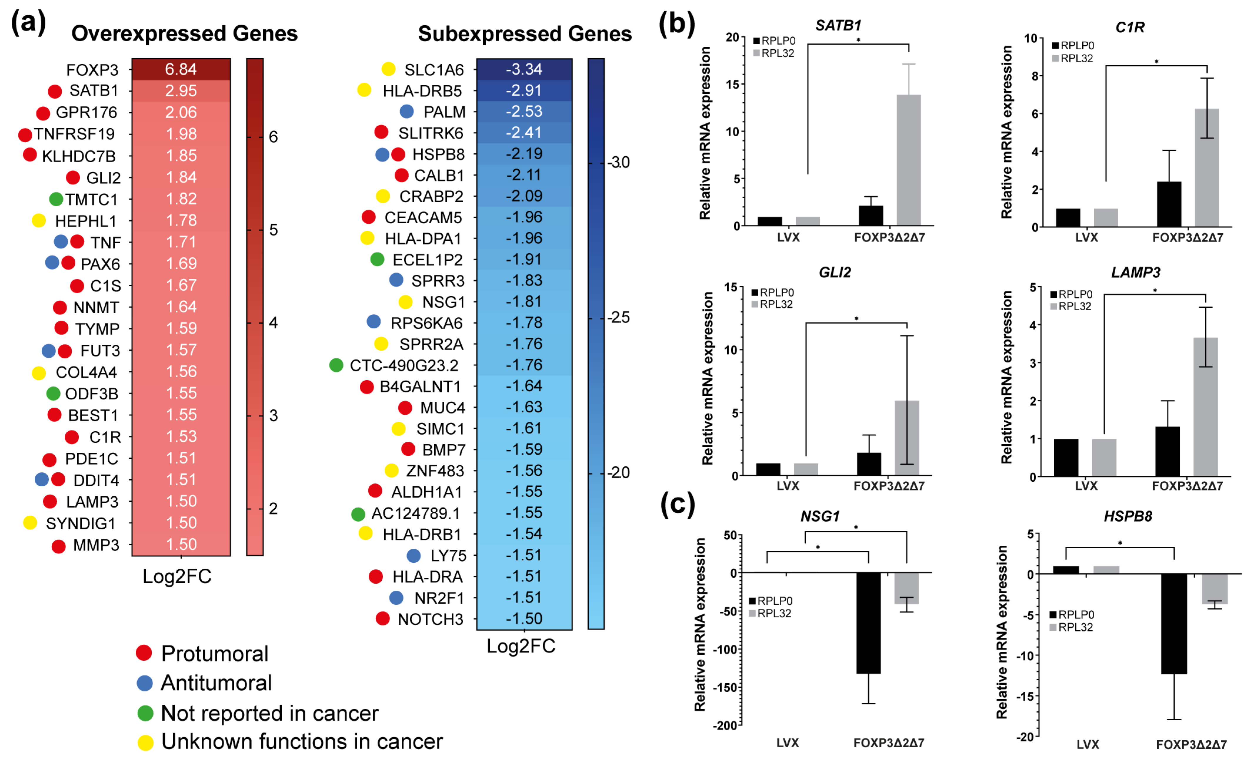 Cancers 15 00347 g006 Cancers 15 00347 g006
