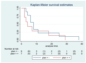 Cancers 15 00361 i011