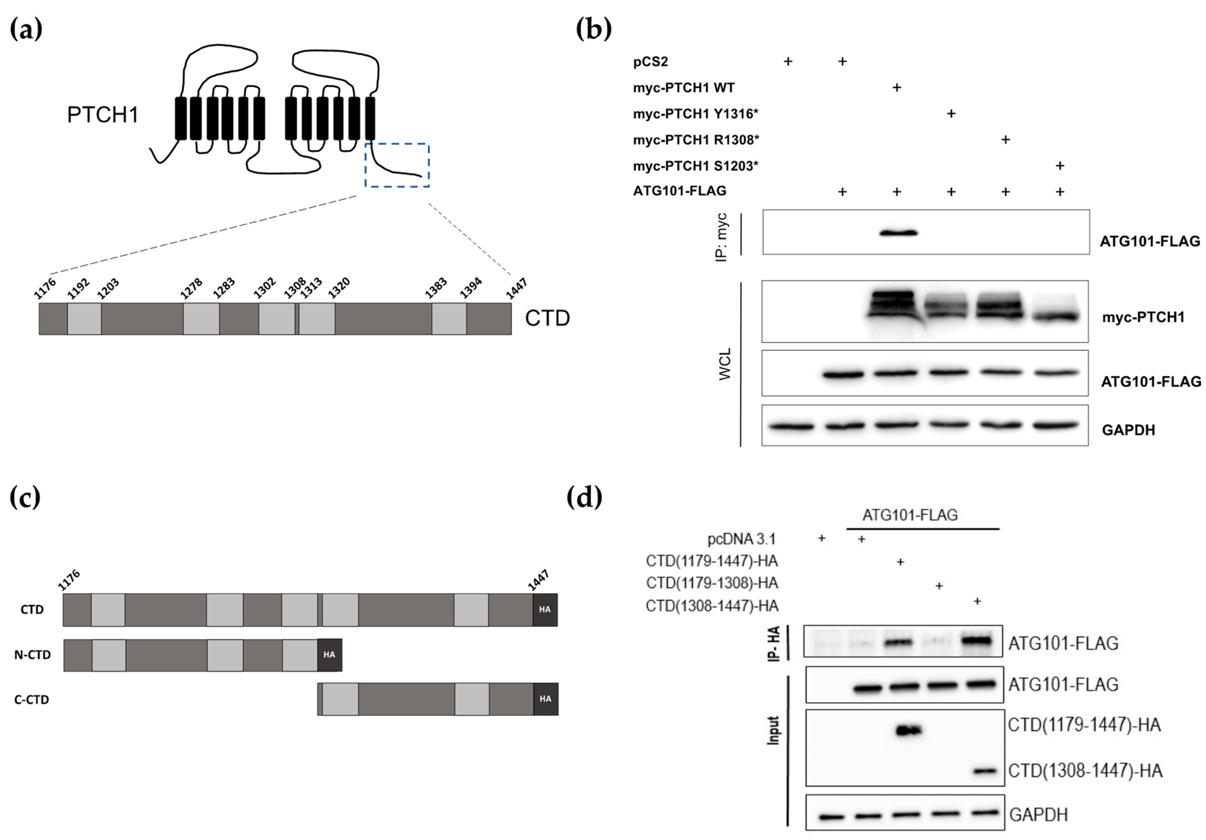Cancers 15 00369 g001