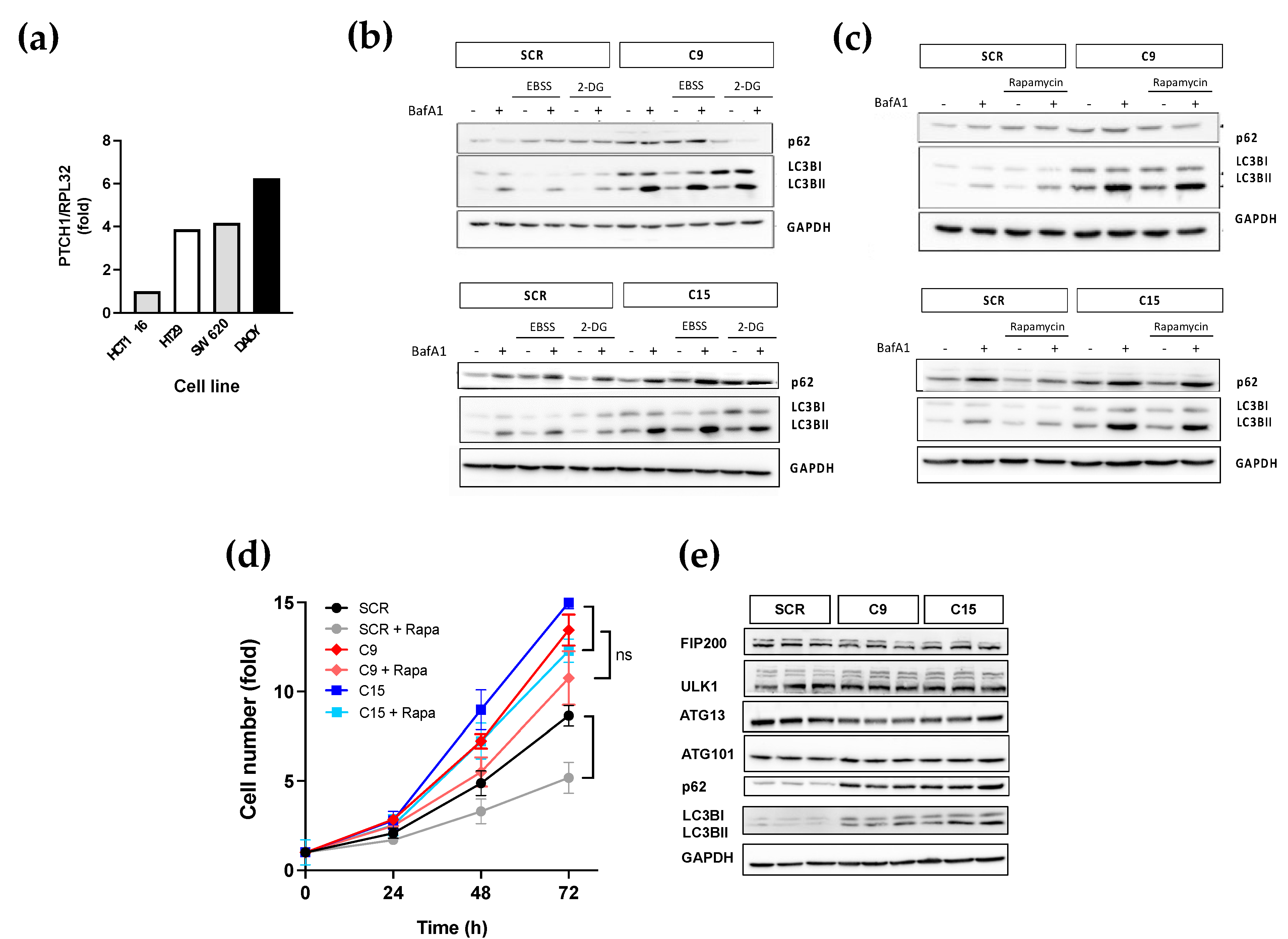 Cancers 15 00369 g003