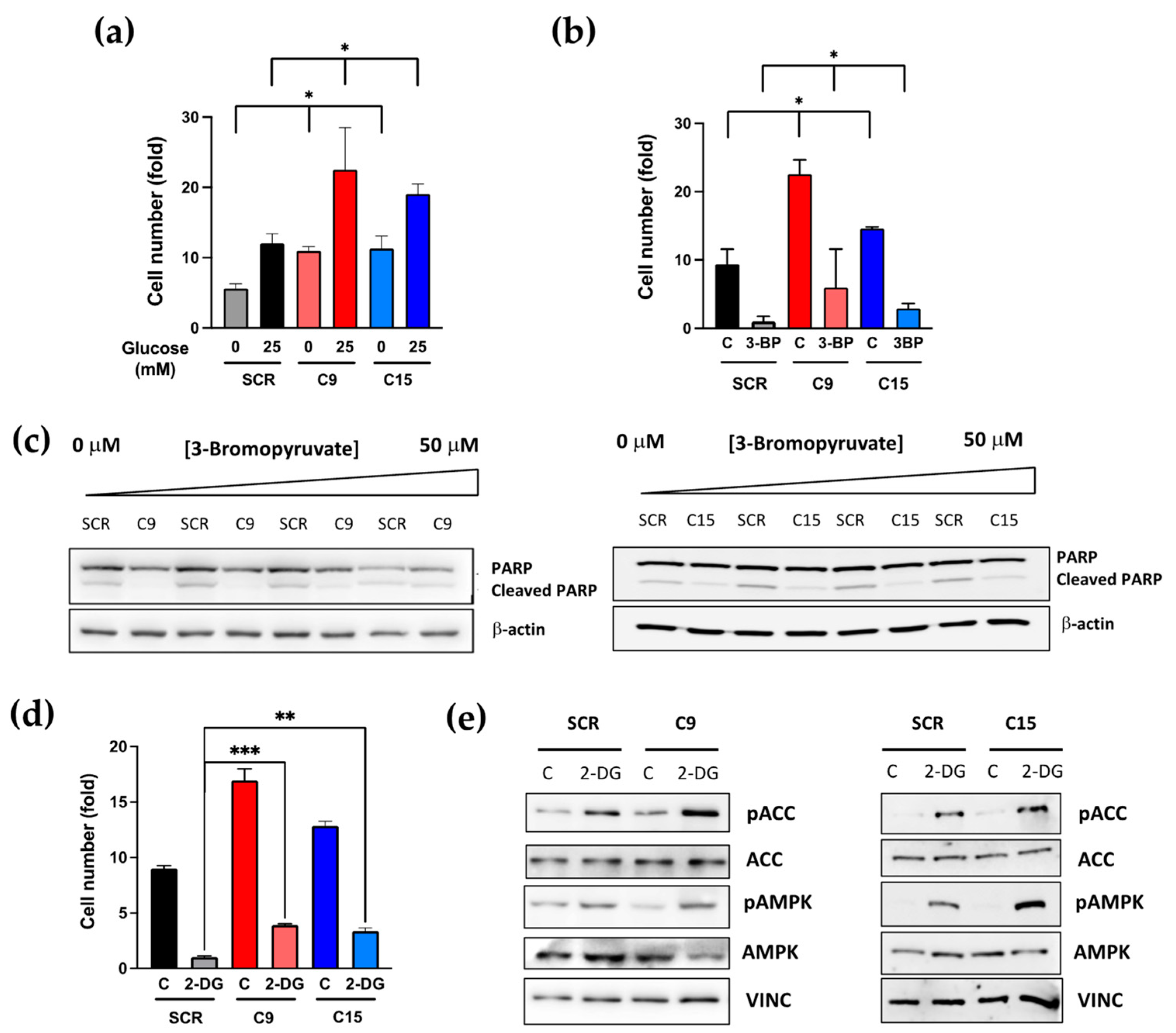 Cancers 15 00369 g004