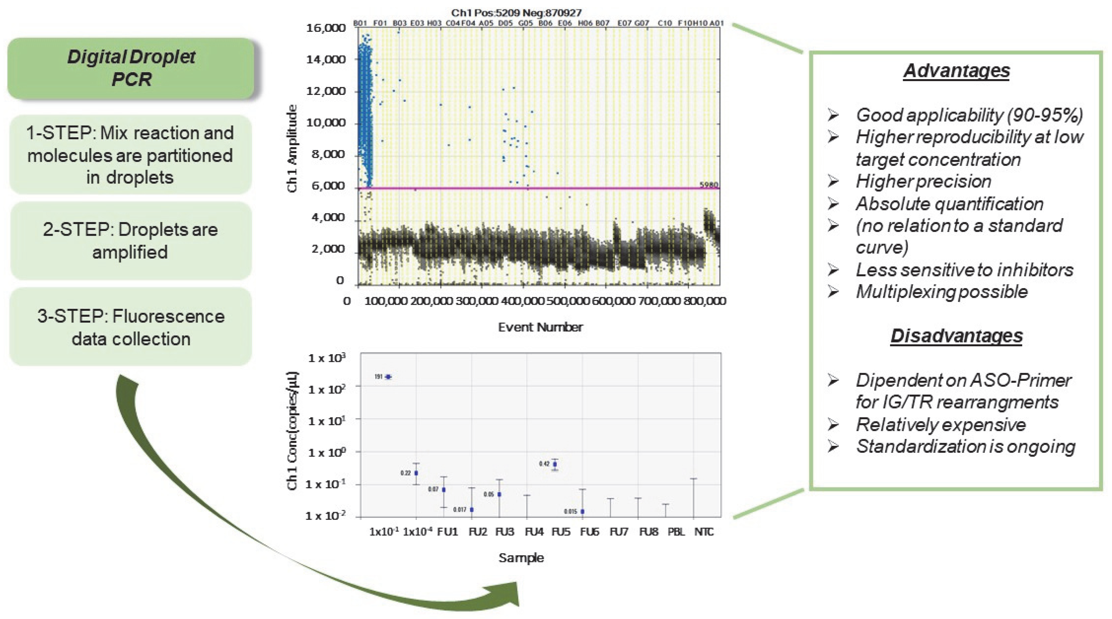 Cancers 15 00374 g001