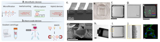 Cancers 15 00383 g001