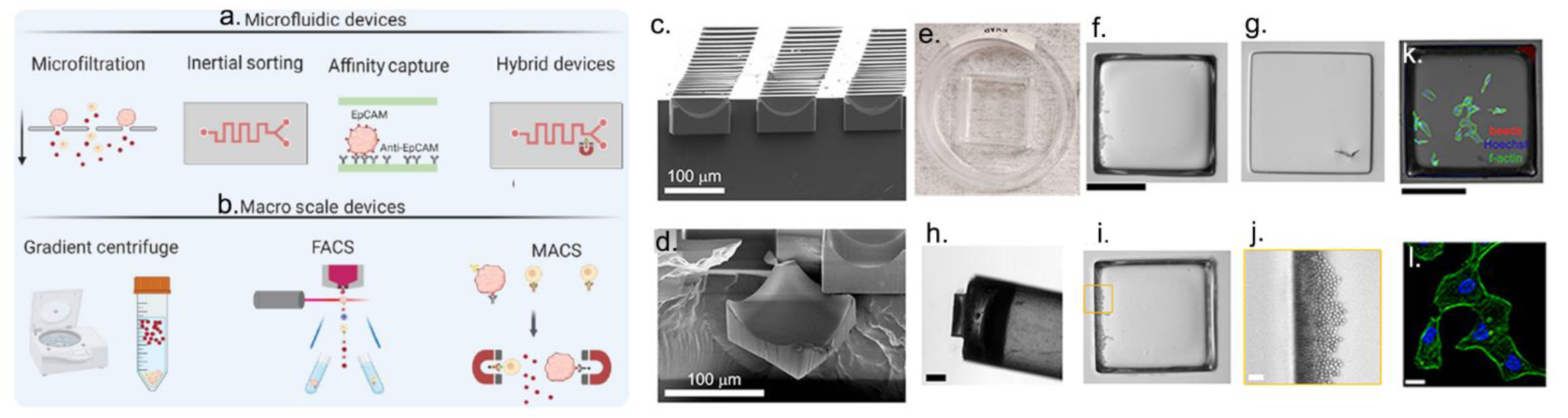 Cancers 15 00383 g001