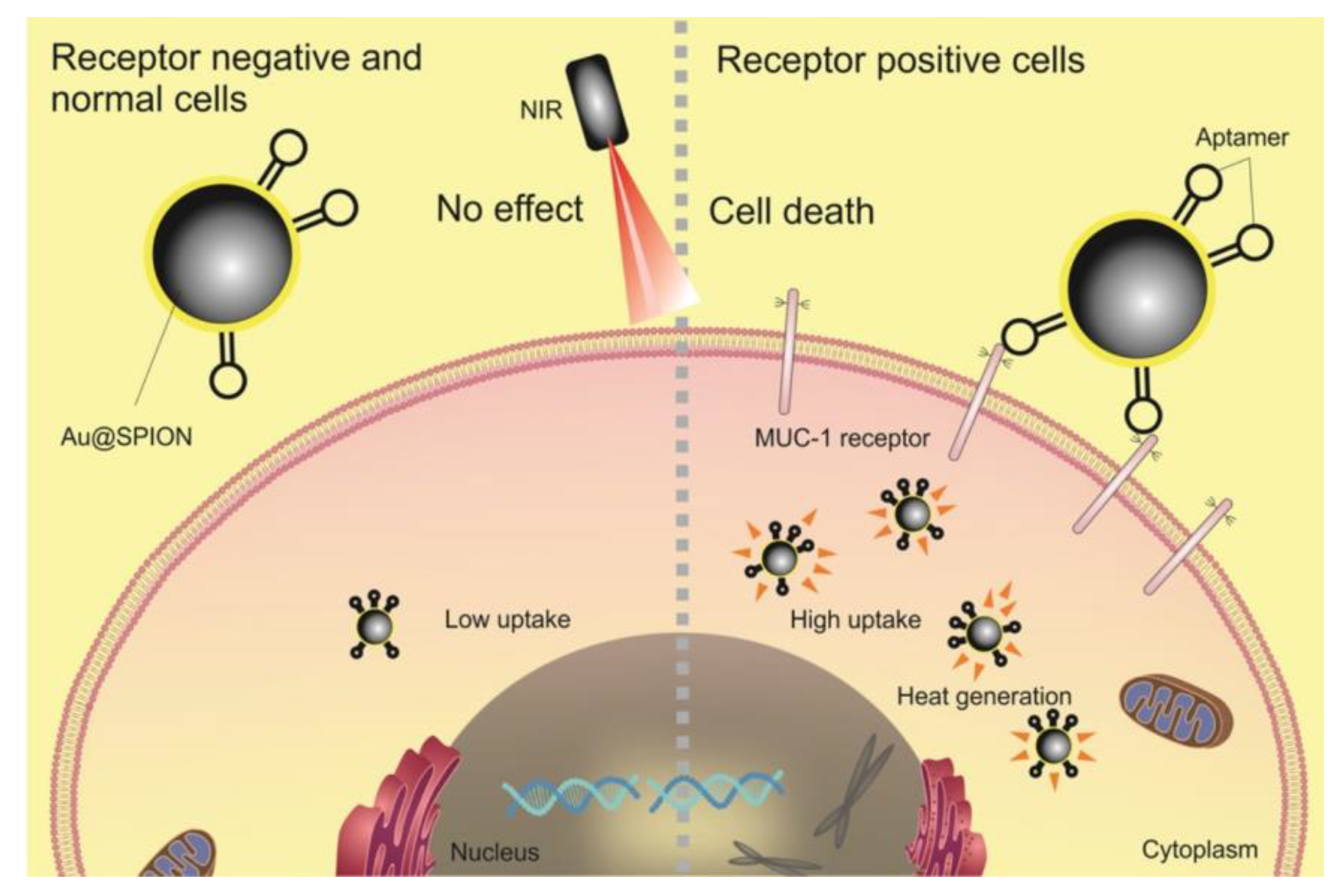 Cancers 15 00383 g004