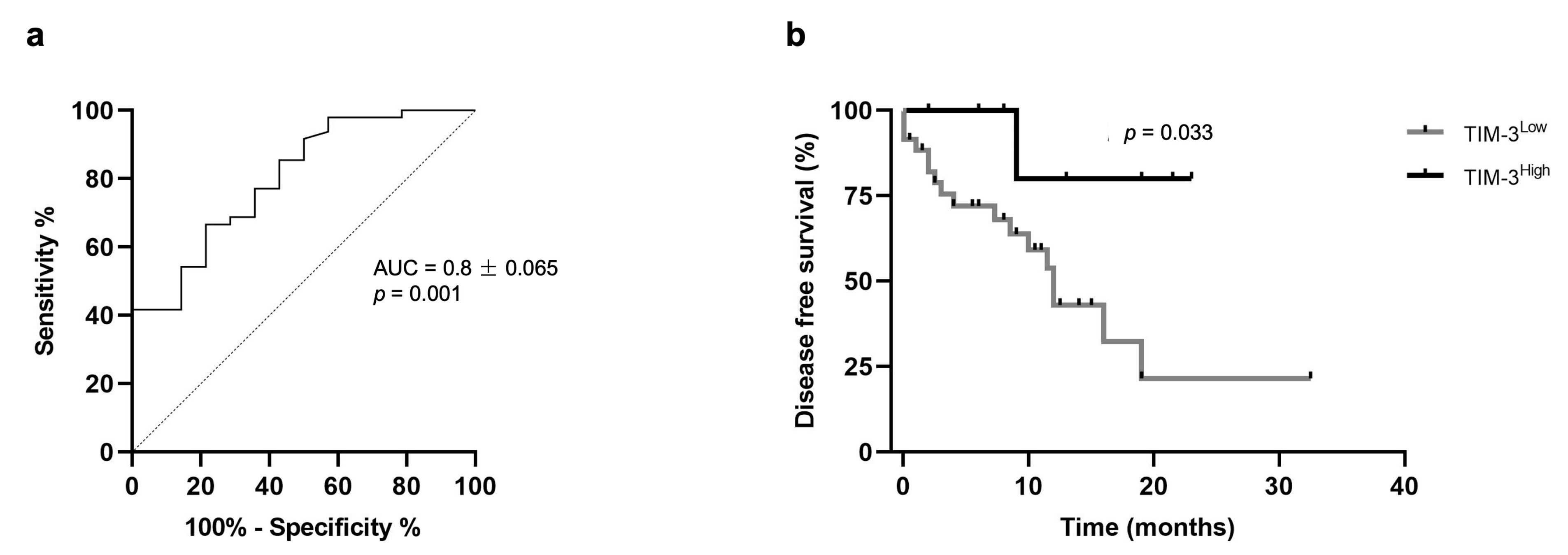 Cancers 15 00384 g006