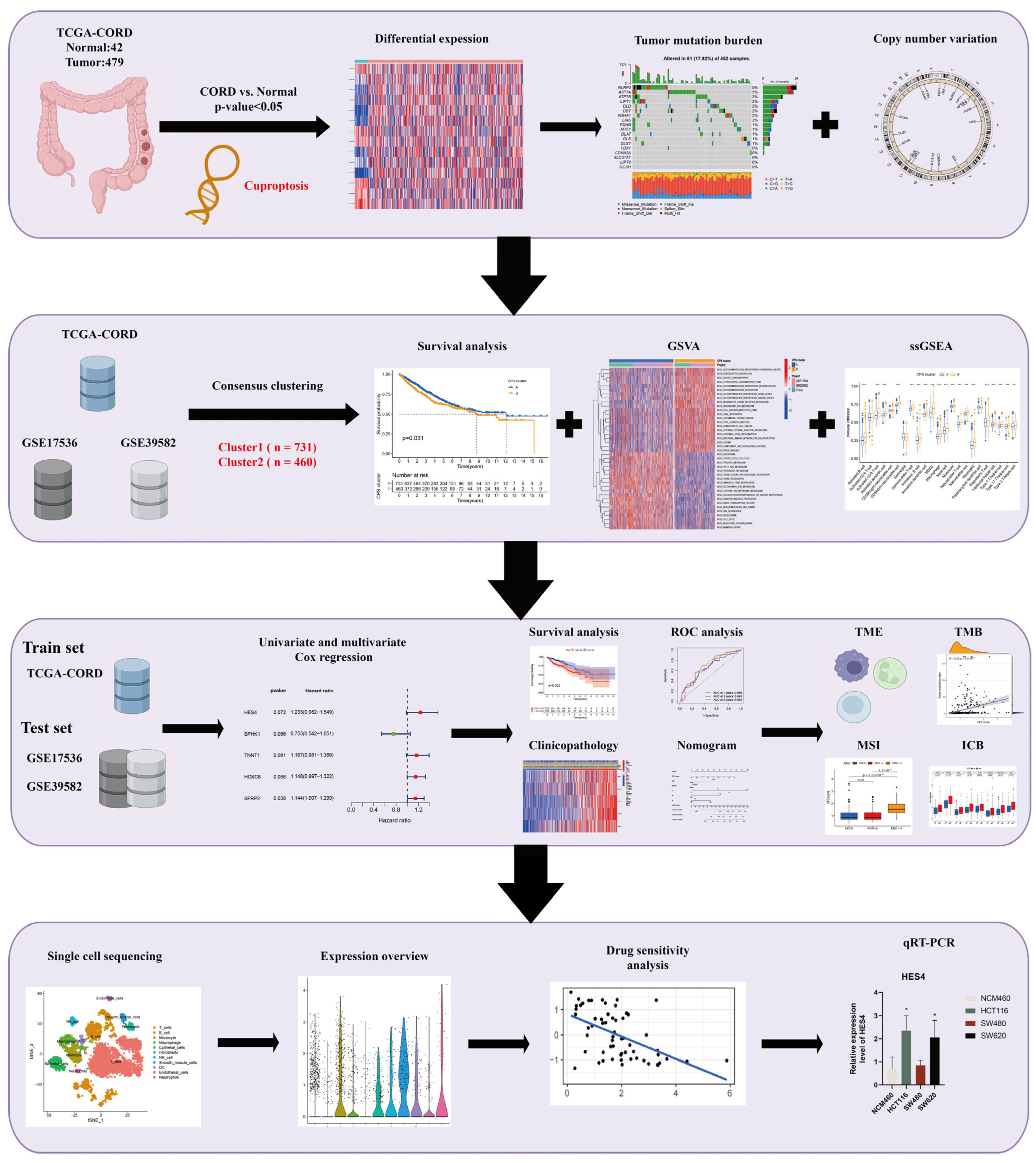 Cancers 15 00387 g001