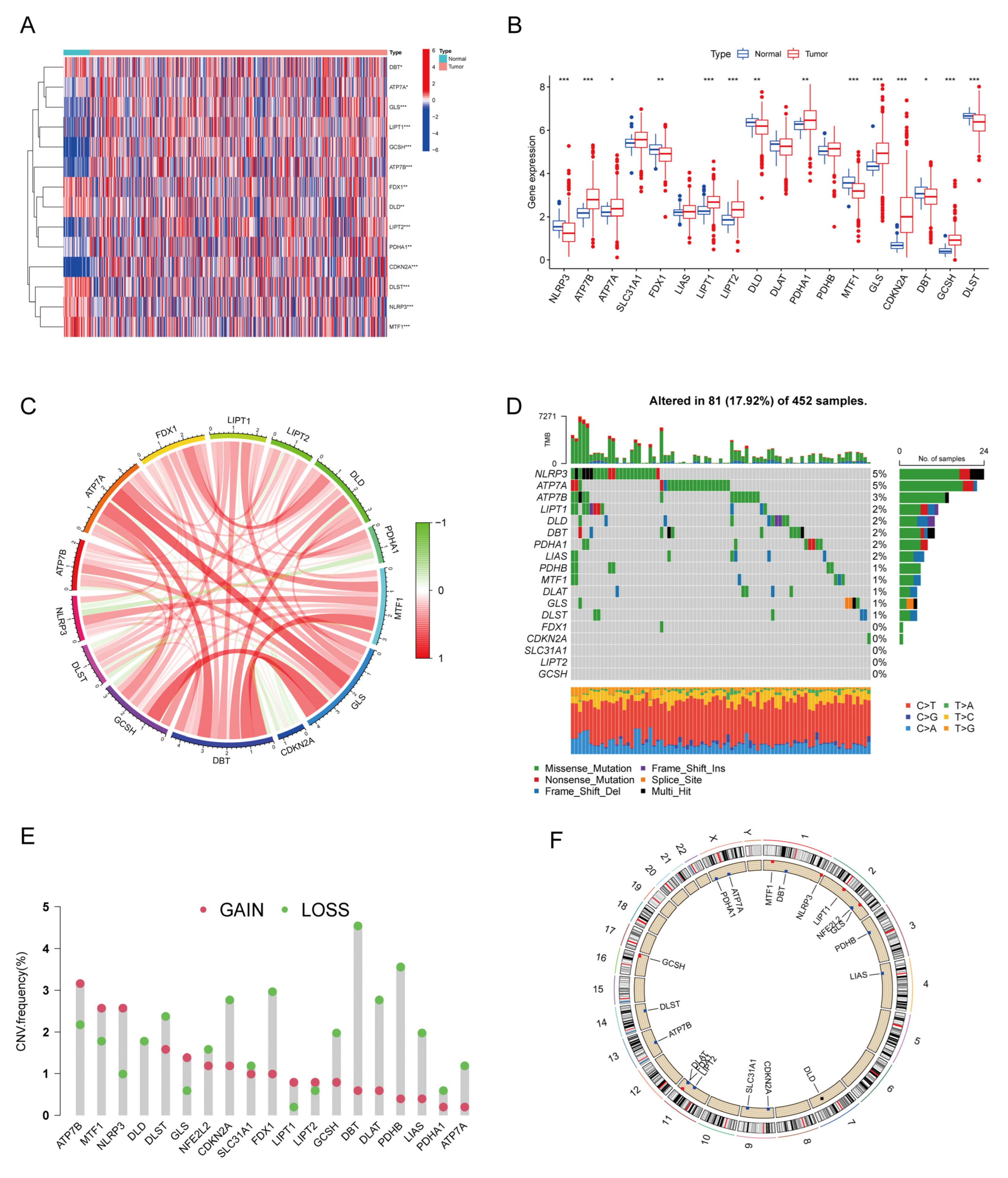 Cancers 15 00387 g002