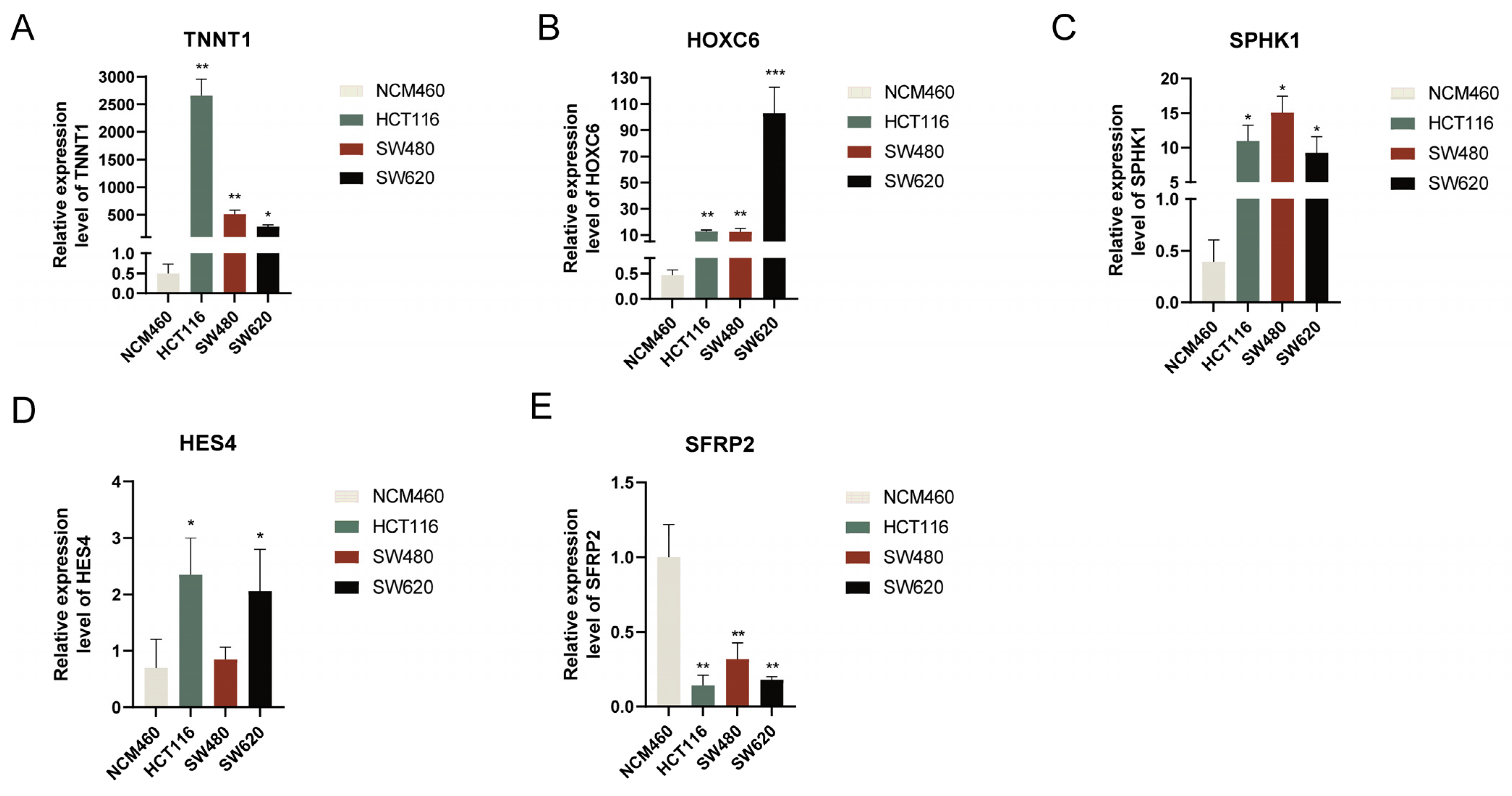 Cancers 15 00387 g010