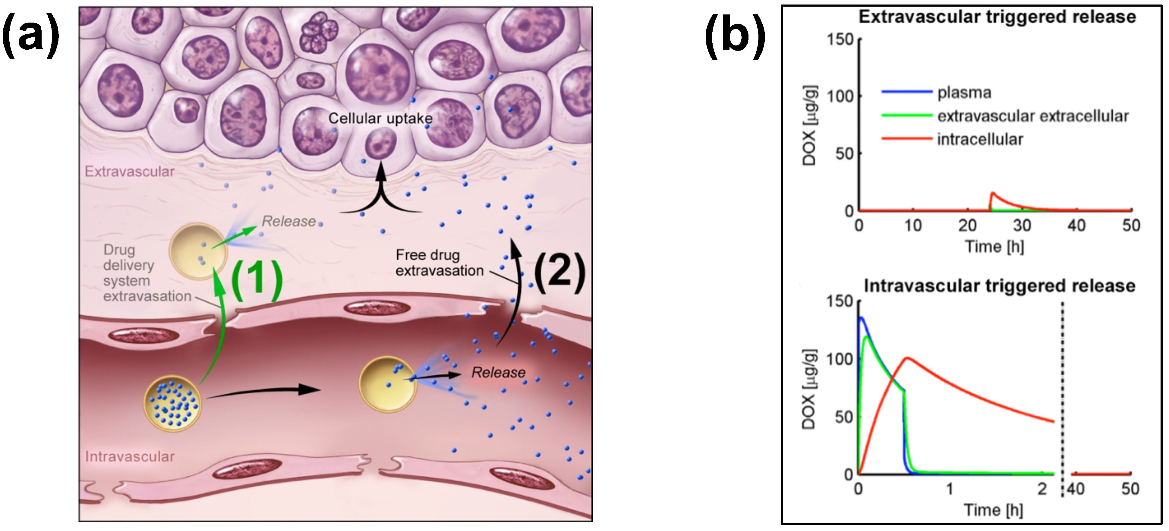 Cancers 15 00398 g002 Cancers 15 00398 g002