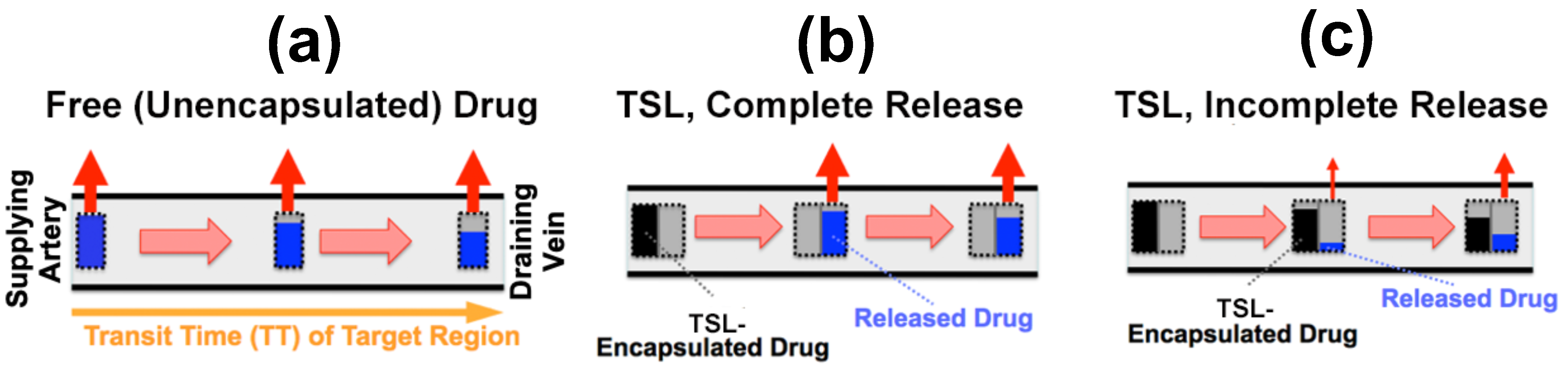 Cancers 15 00398 g005 Cancers 15 00398 g005