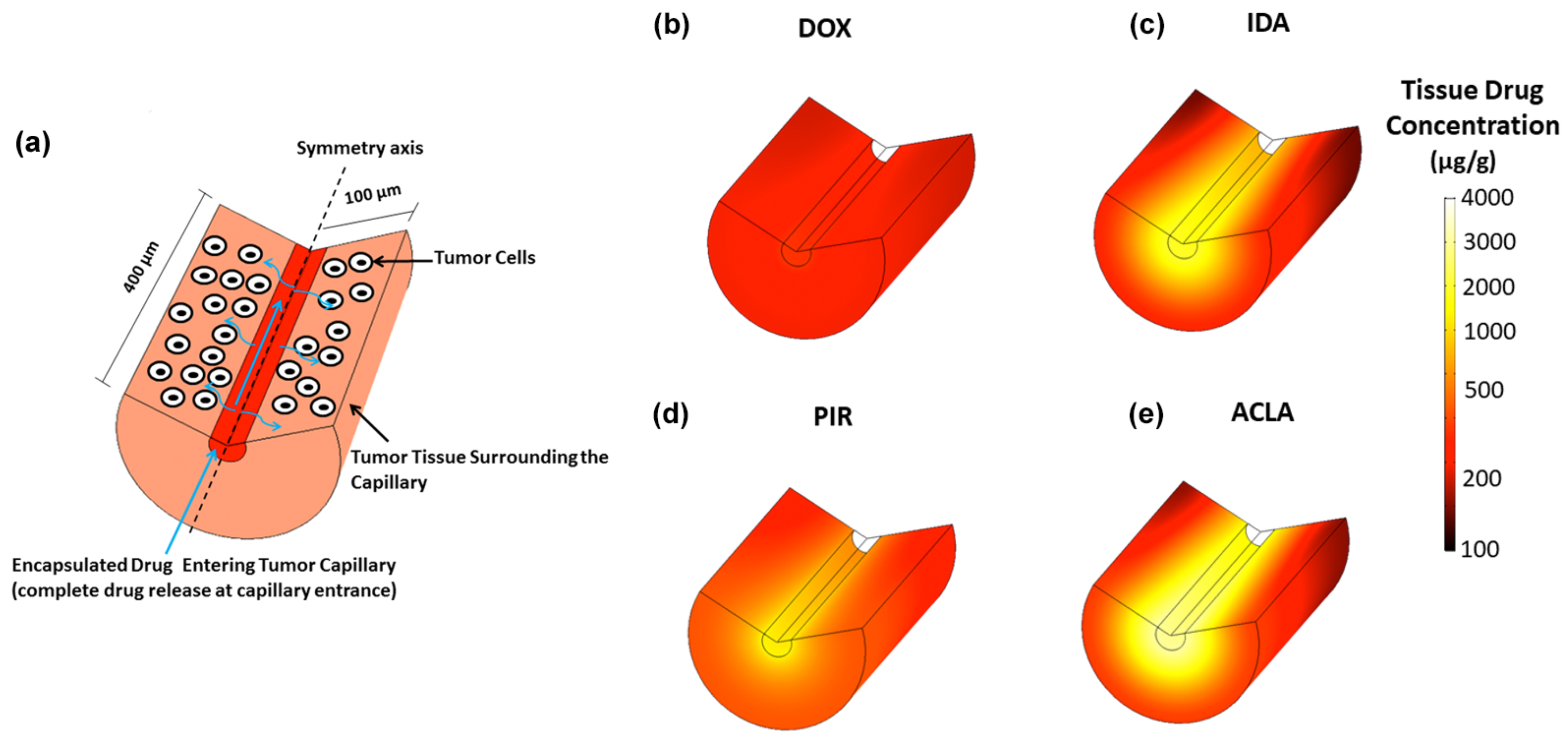 Cancers 15 00398 g012 Cancers 15 00398 g012