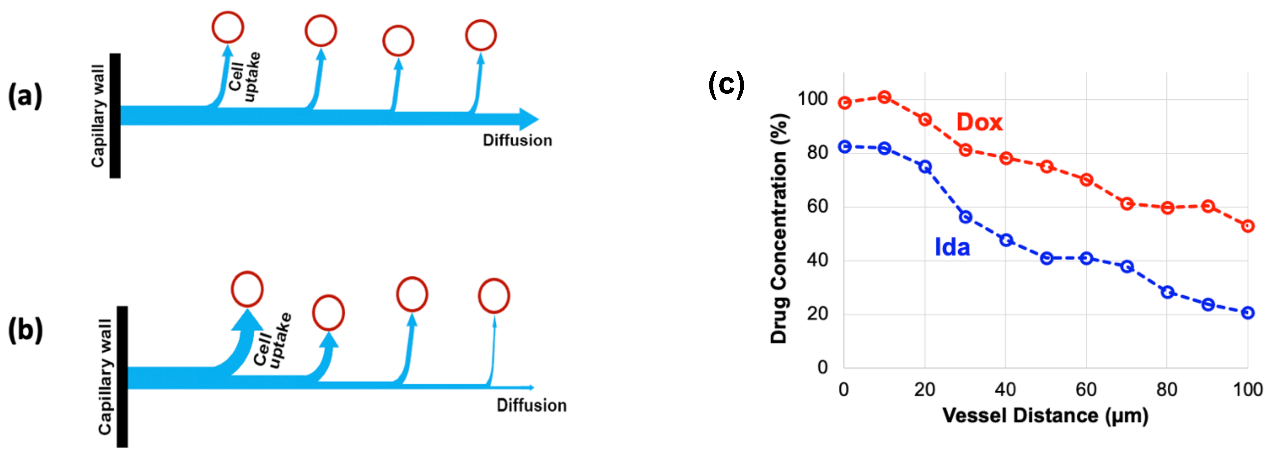 Cancers 15 00398 g013 Cancers 15 00398 g013