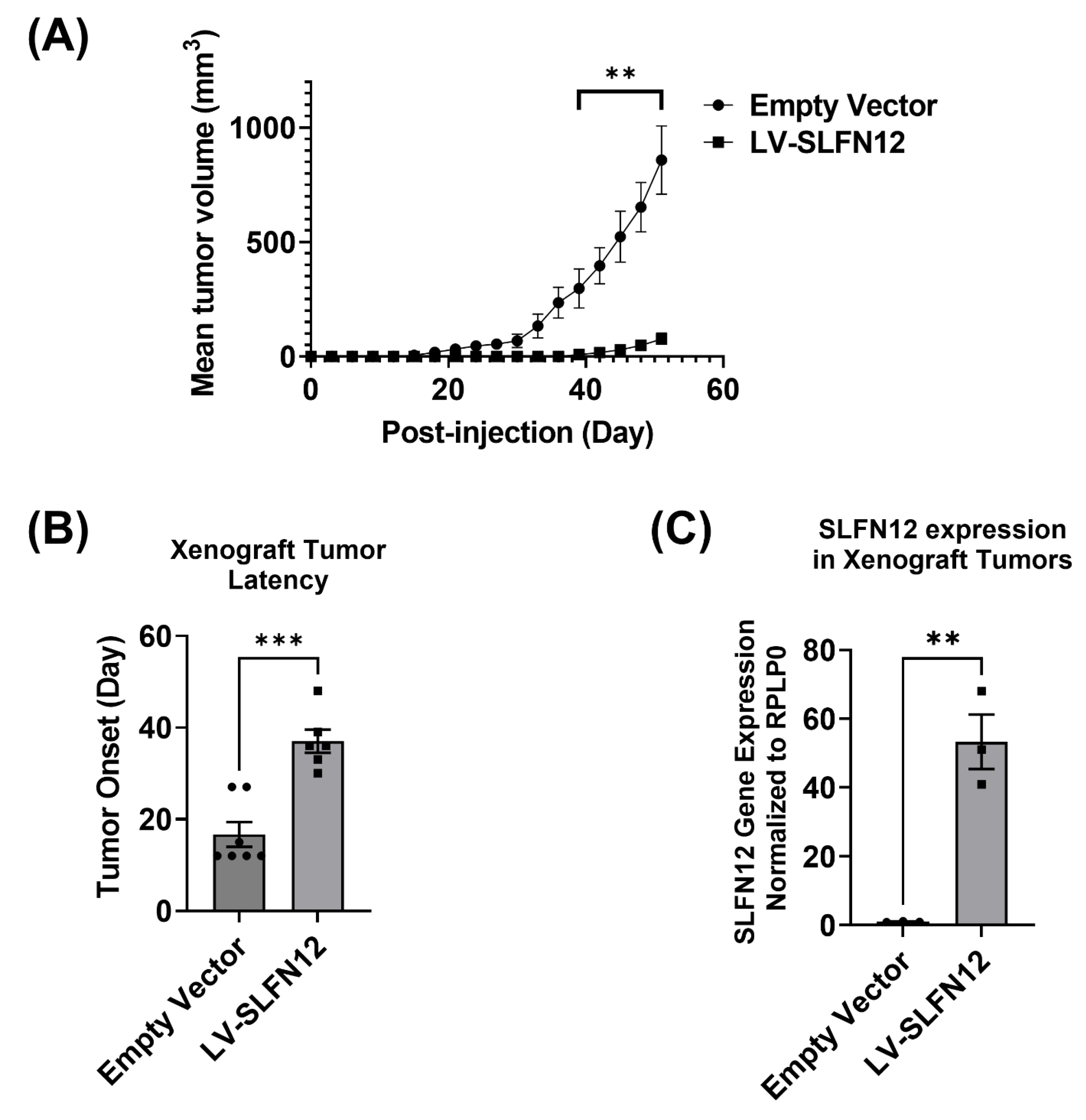 Cancers 15 00402 g001