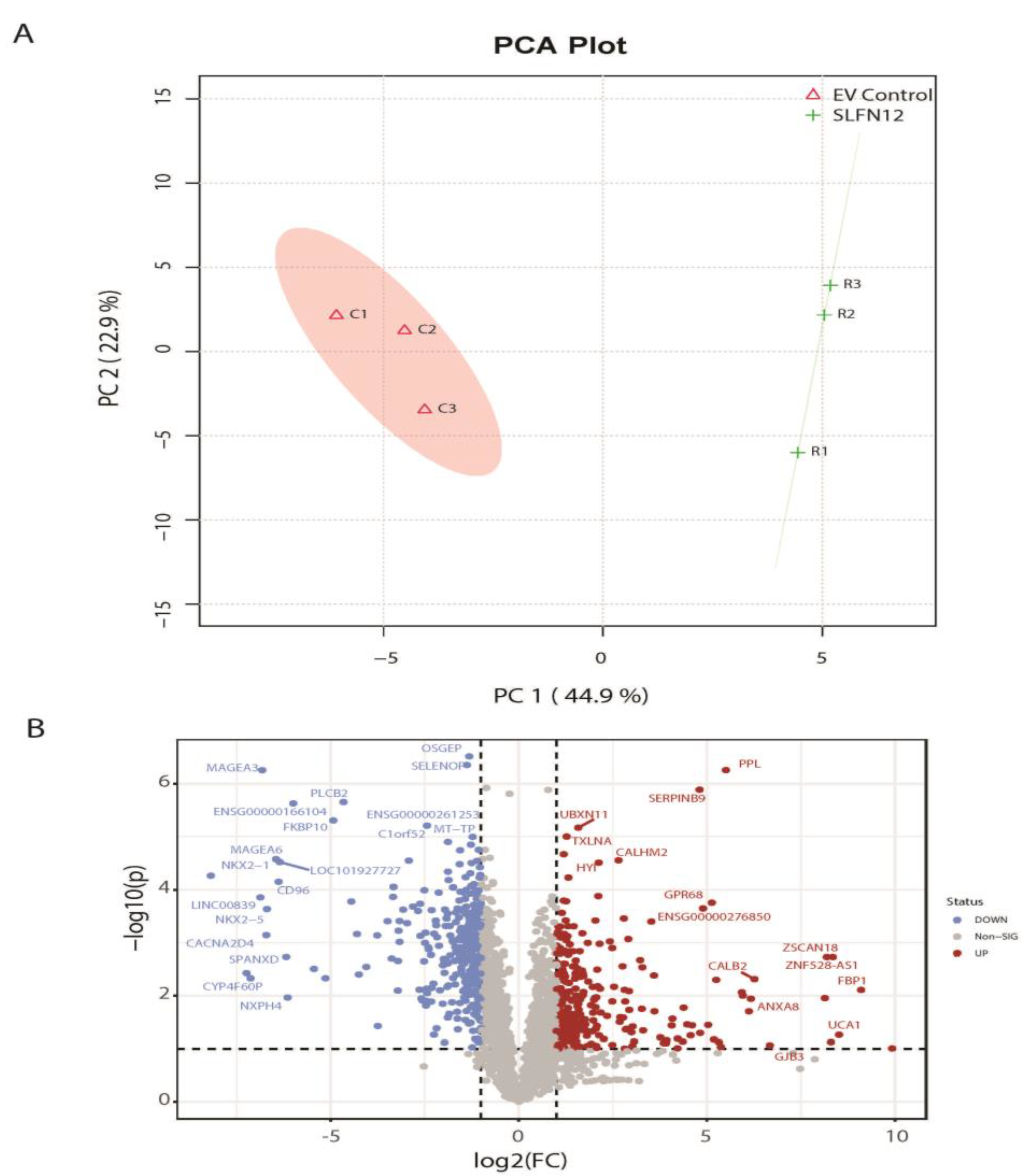 Cancers 15 00402 g002