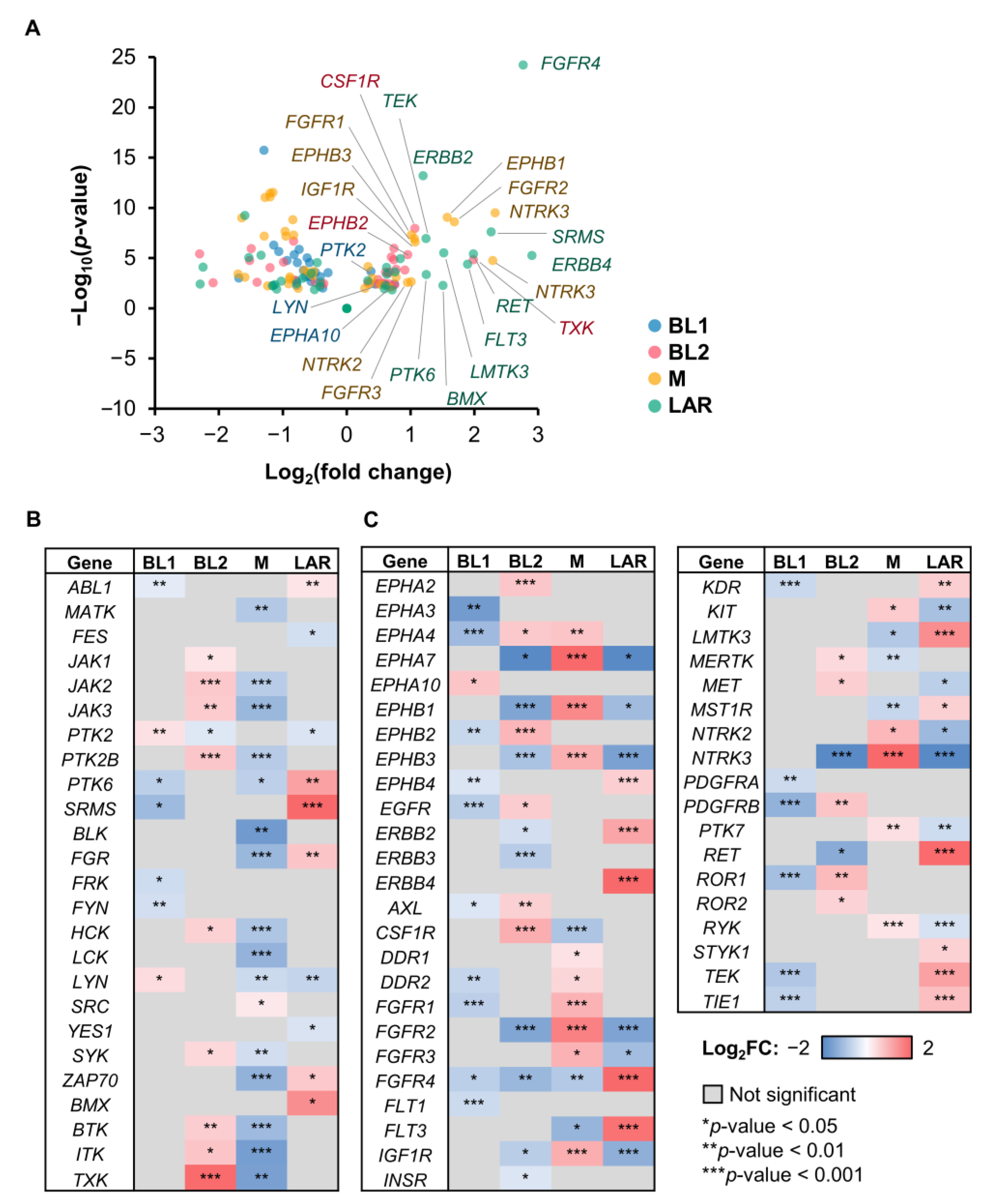 Cancers 15 00403 g002