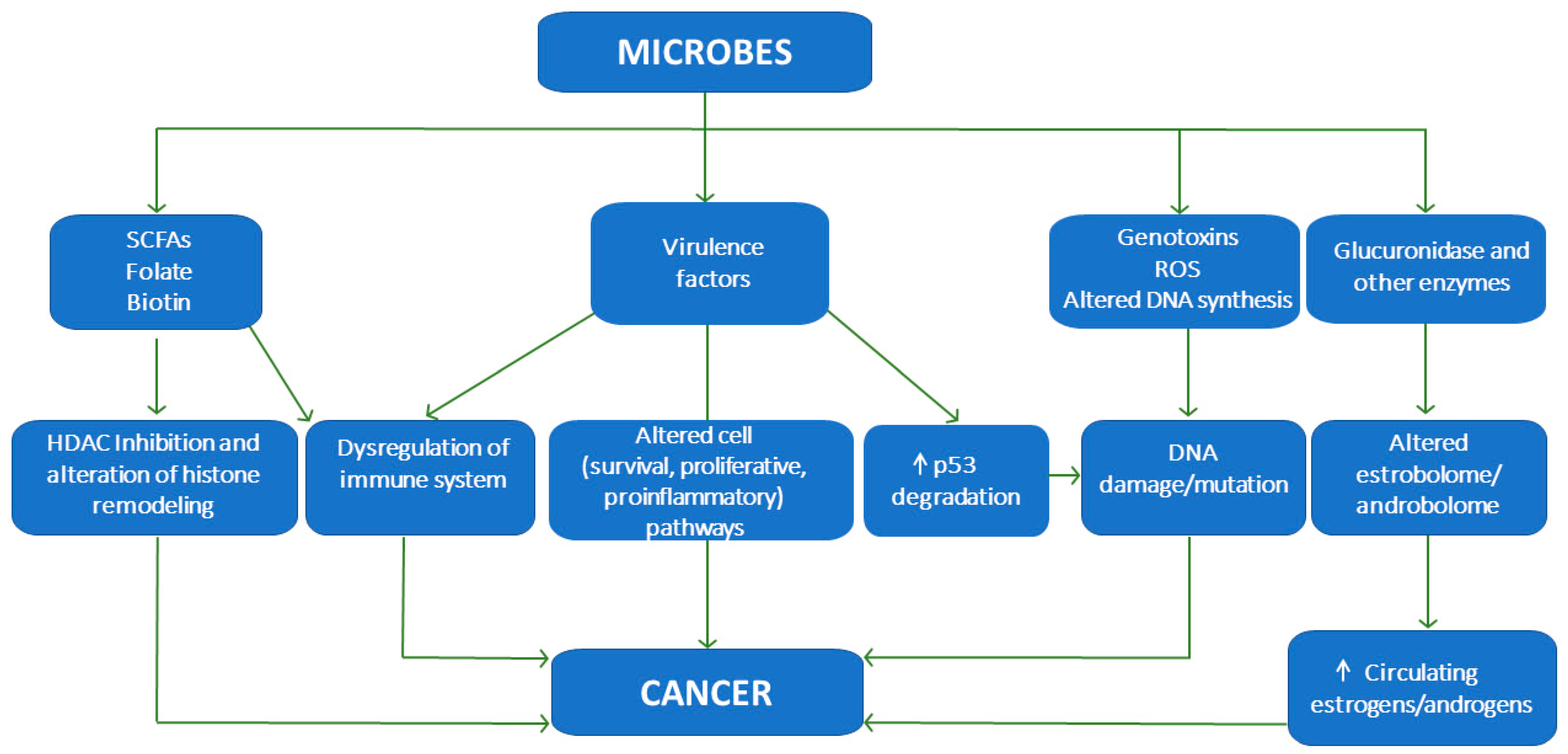 Cancers 15 00443 g001
