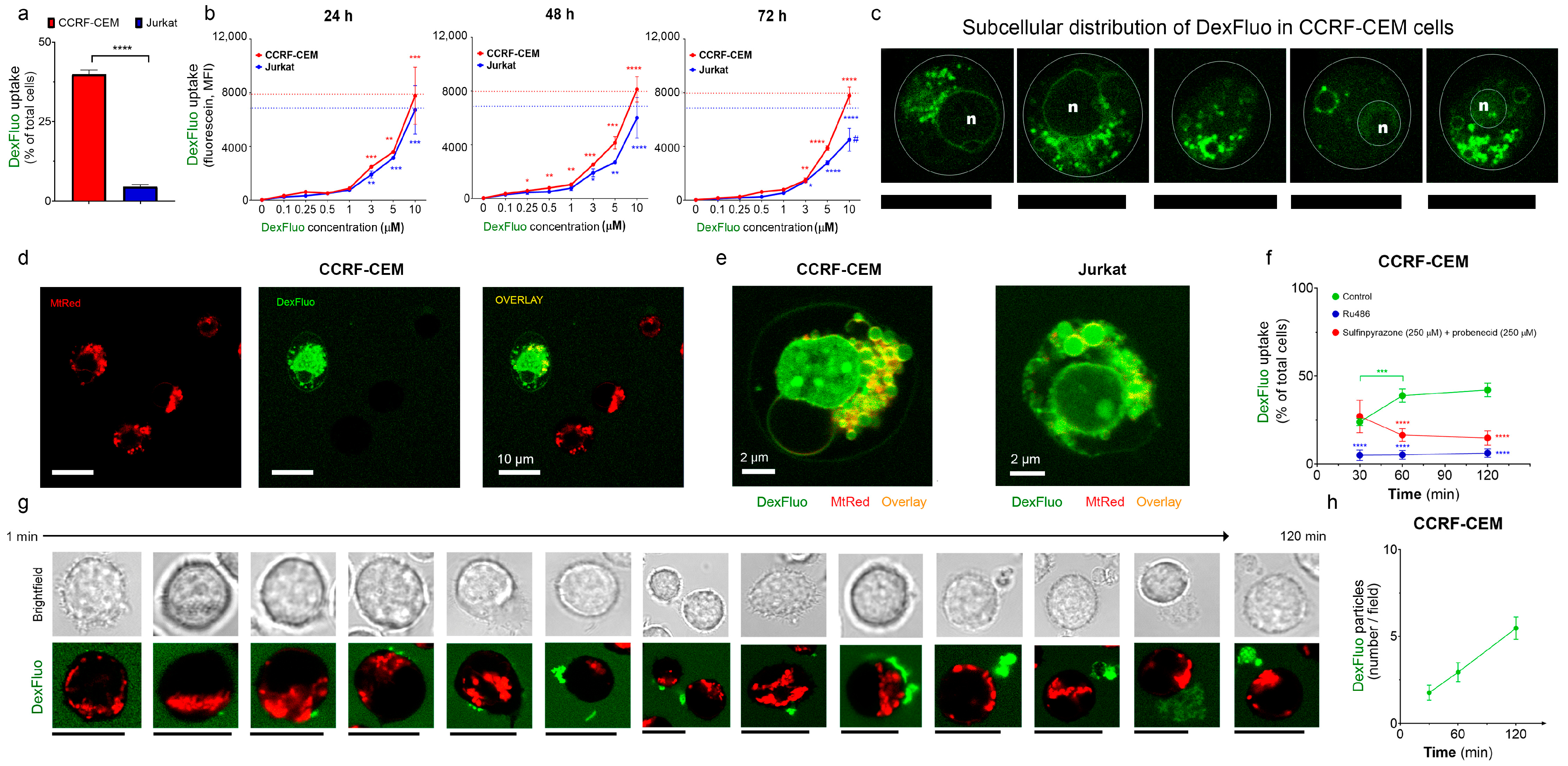 Cancers 15 00445 g002