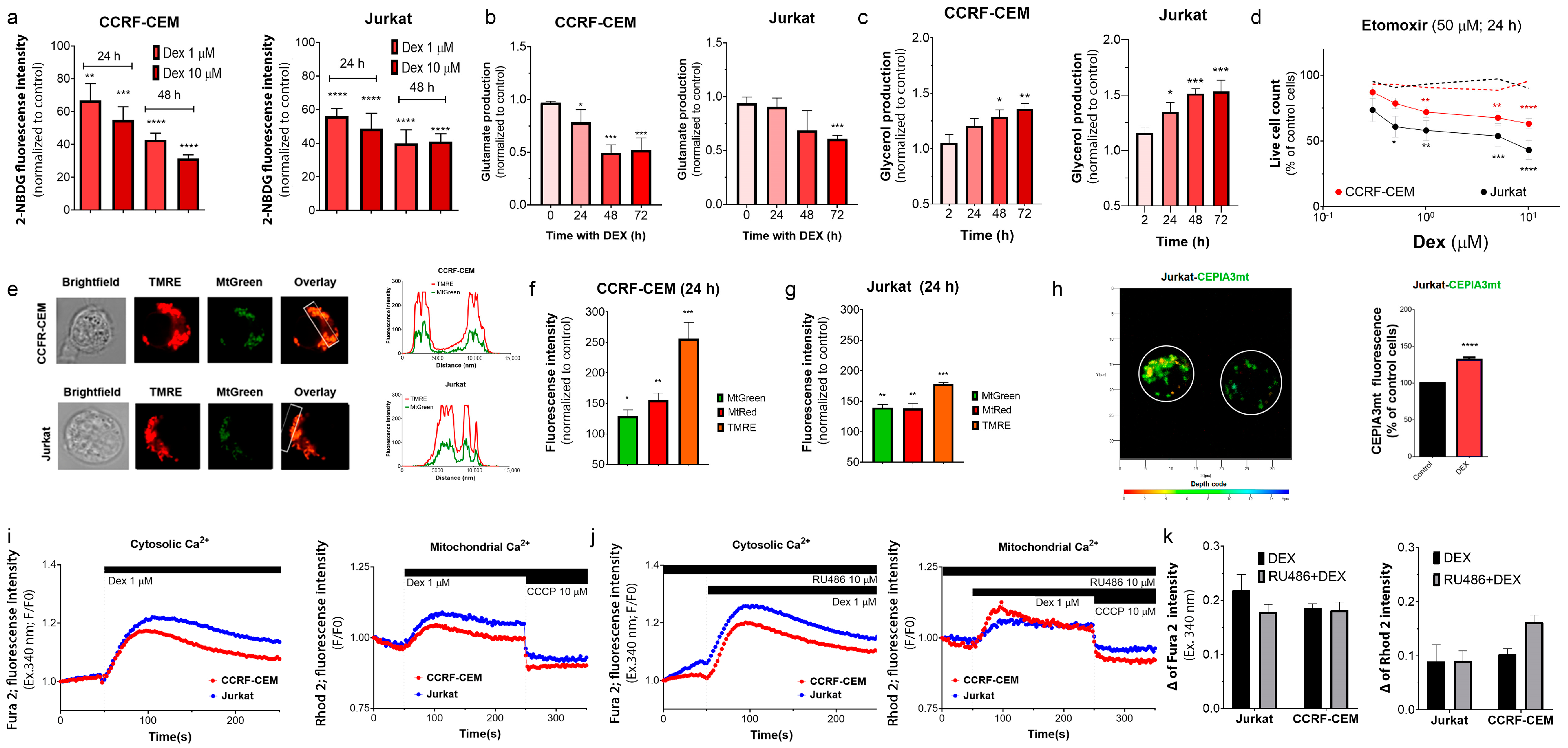 Cancers 15 00445 g003