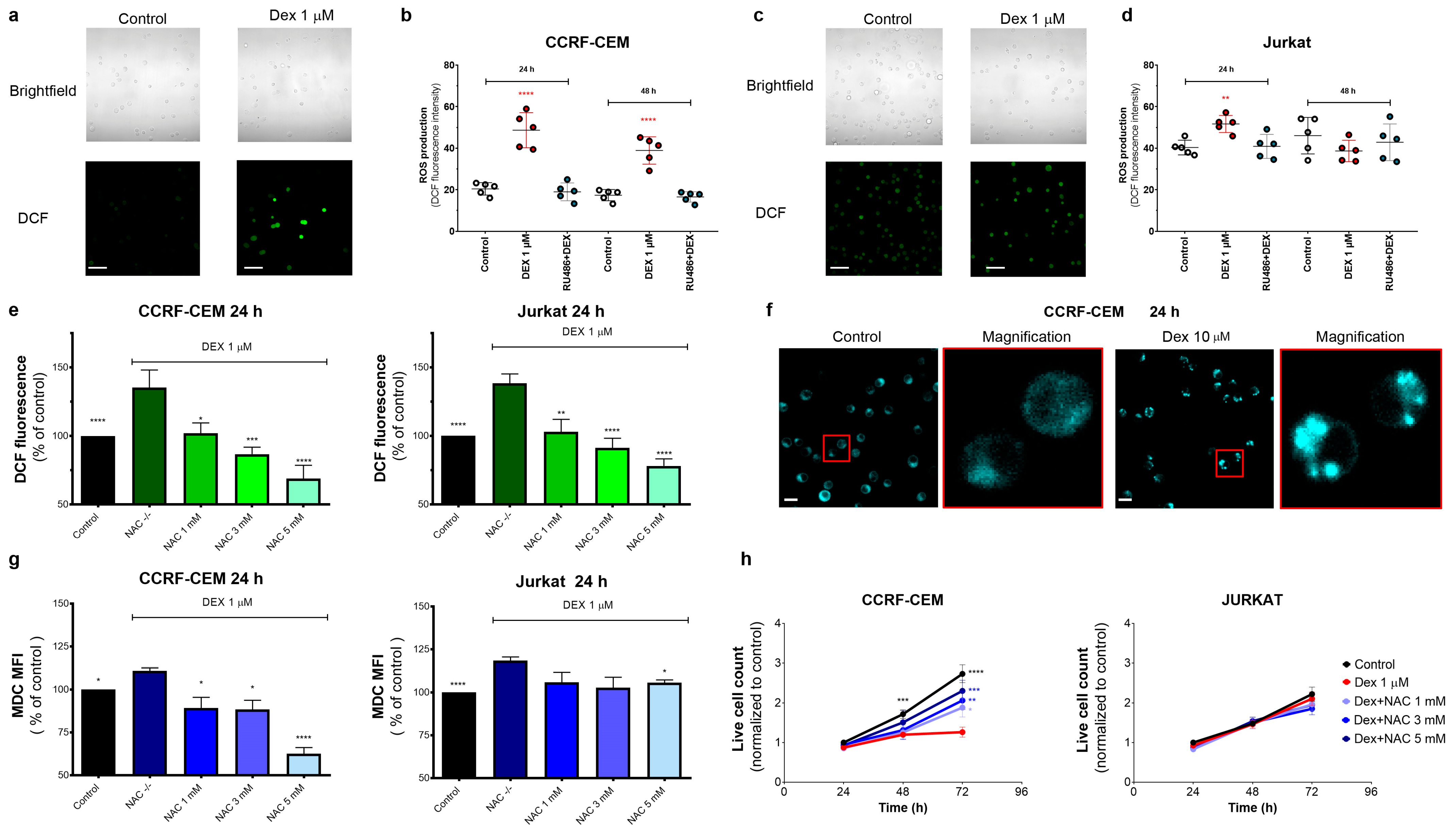 Cancers 15 00445 g004