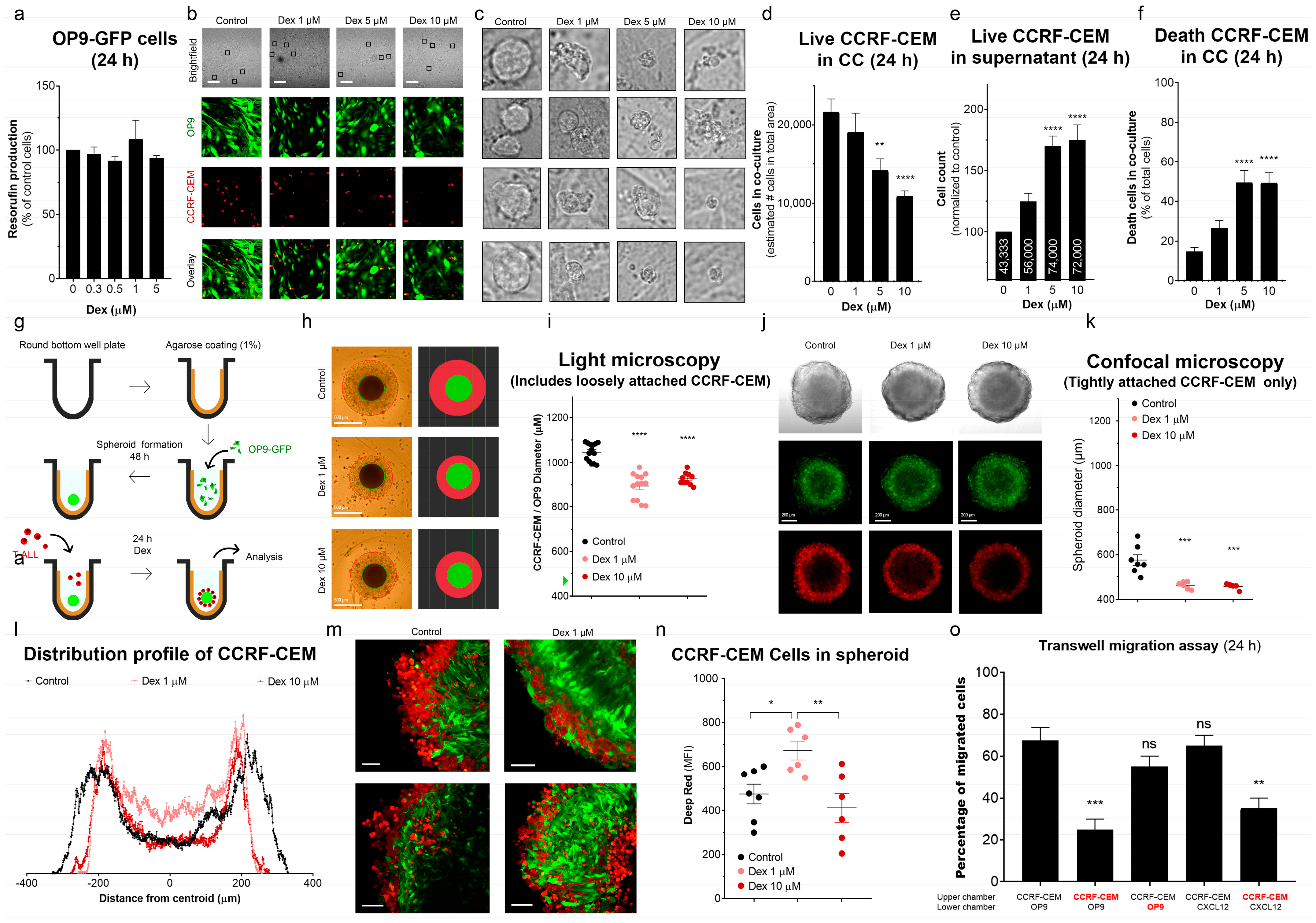 Cancers 15 00445 g006