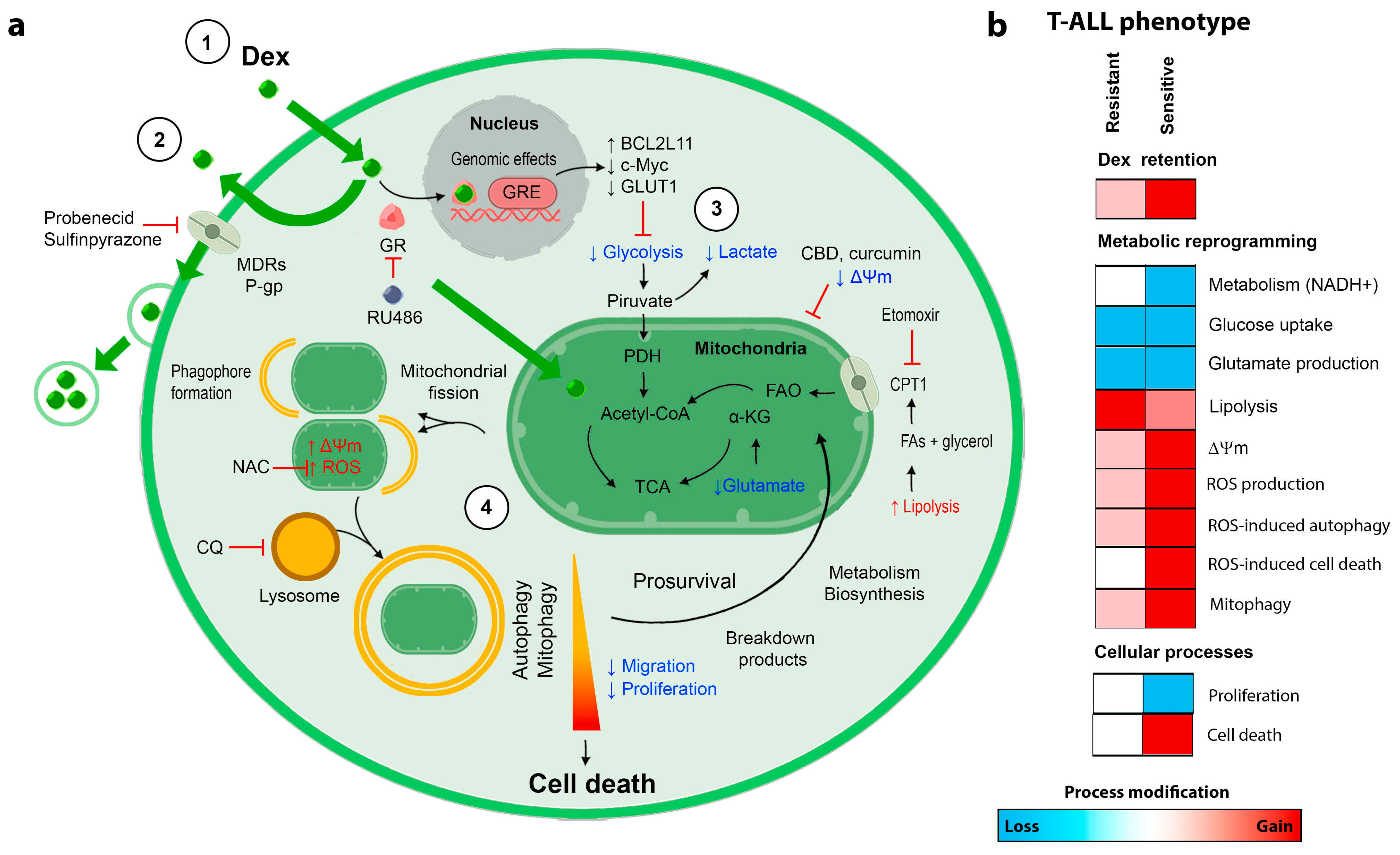 Cancers 15 00445 g007