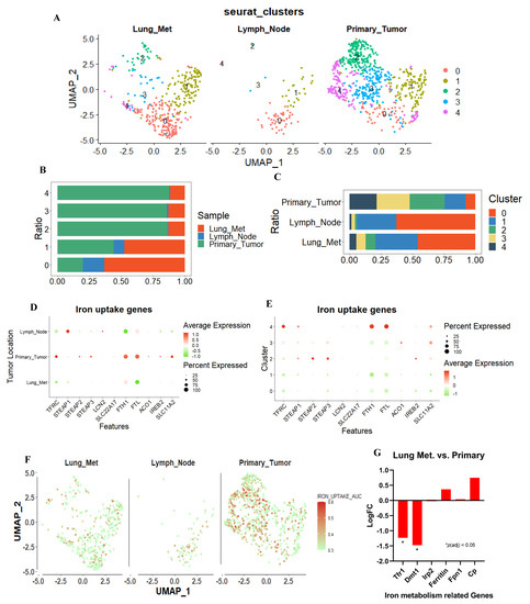 Cancers 15 00468 g002