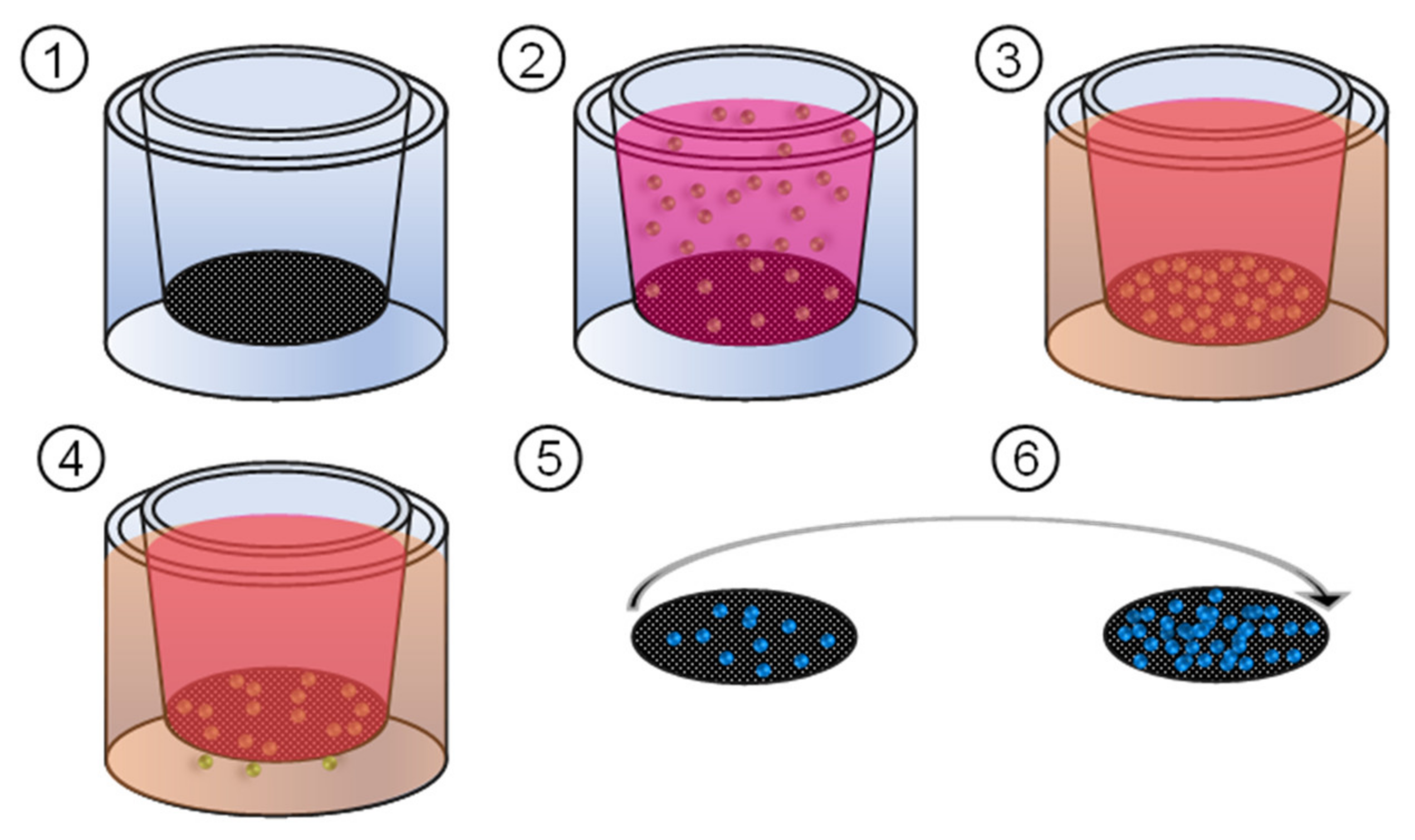 Cancers 15 00481 g007