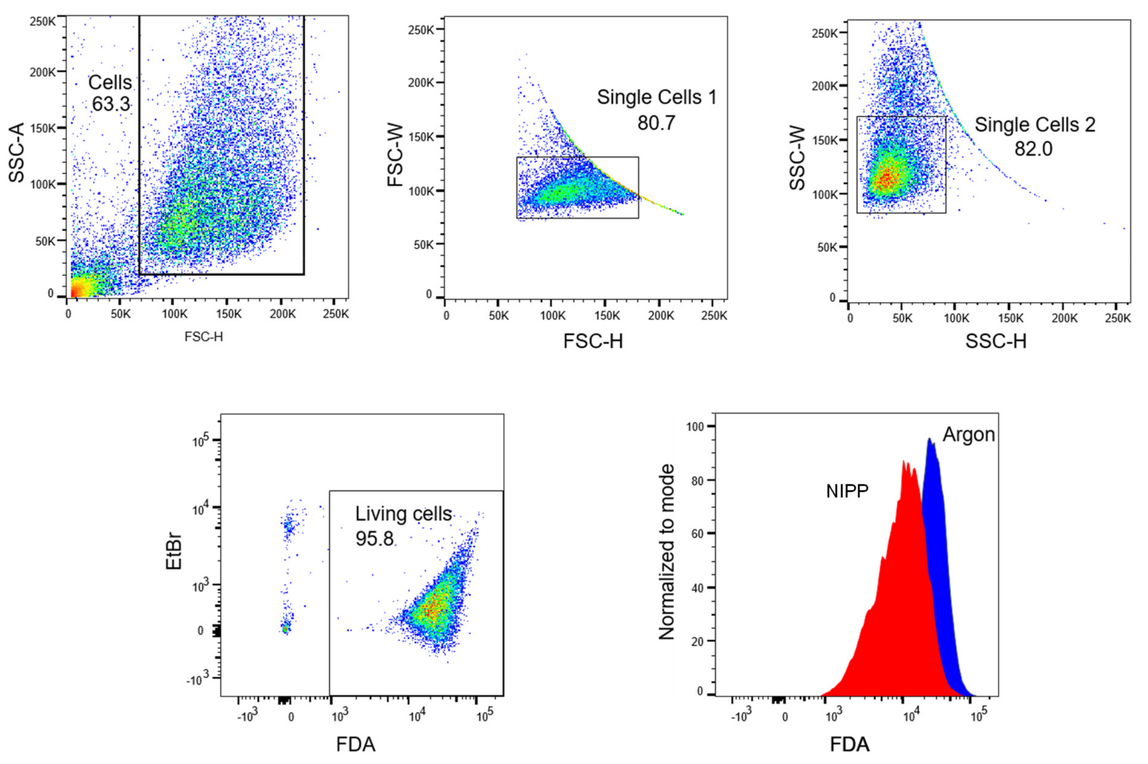 Cancers 15 00481 g008