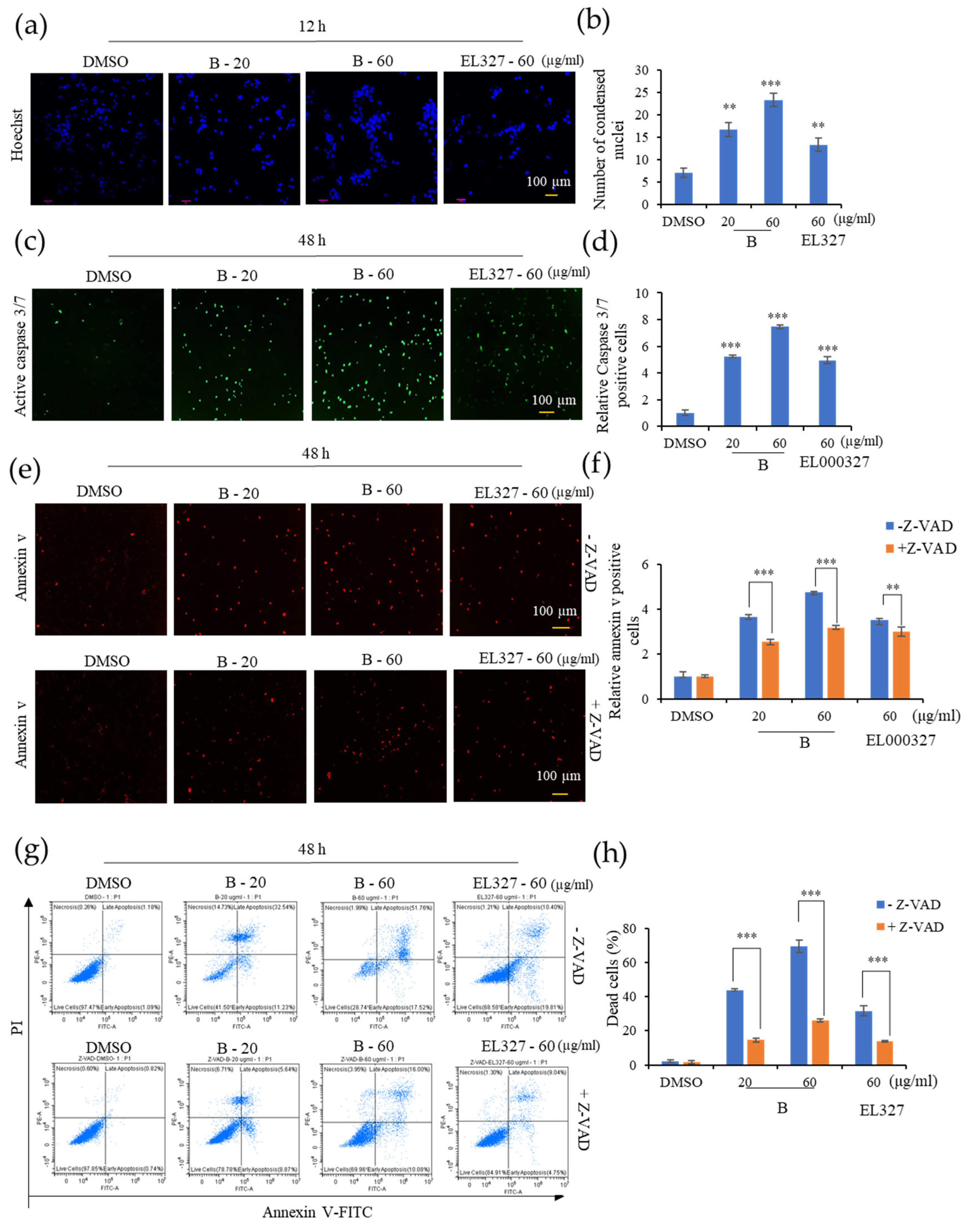 Cancers 15 00489 g003 Cancers 15 00489 g003