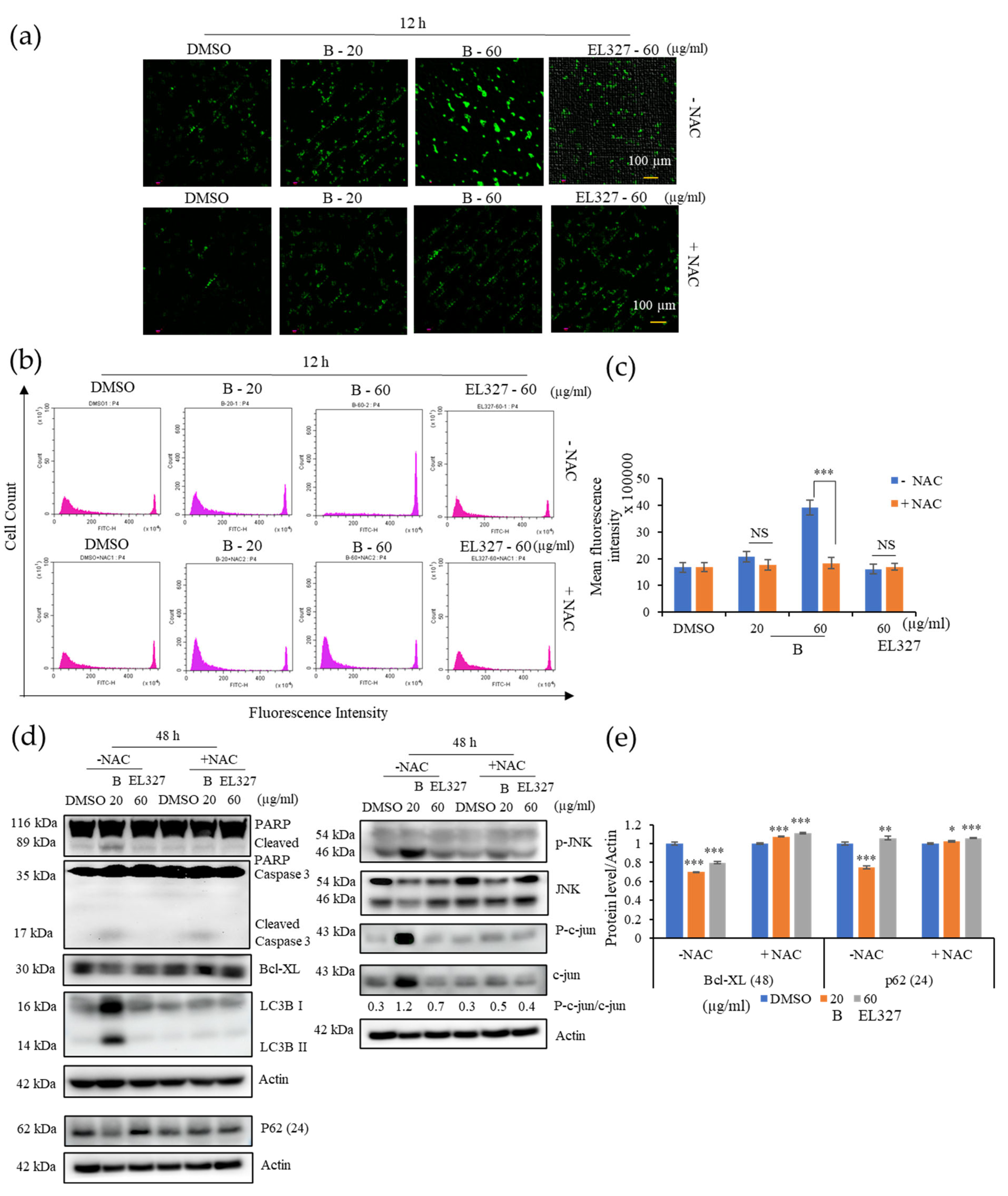 Cancers 15 00489 g005 Cancers 15 00489 g005